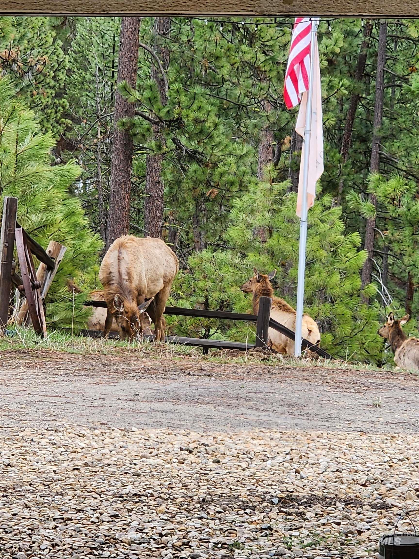 27 PARK LANE, Boise, Idaho 83716, 3 Bedrooms, 3 Bathrooms, Residential For Sale, Price $699,900, 98979623