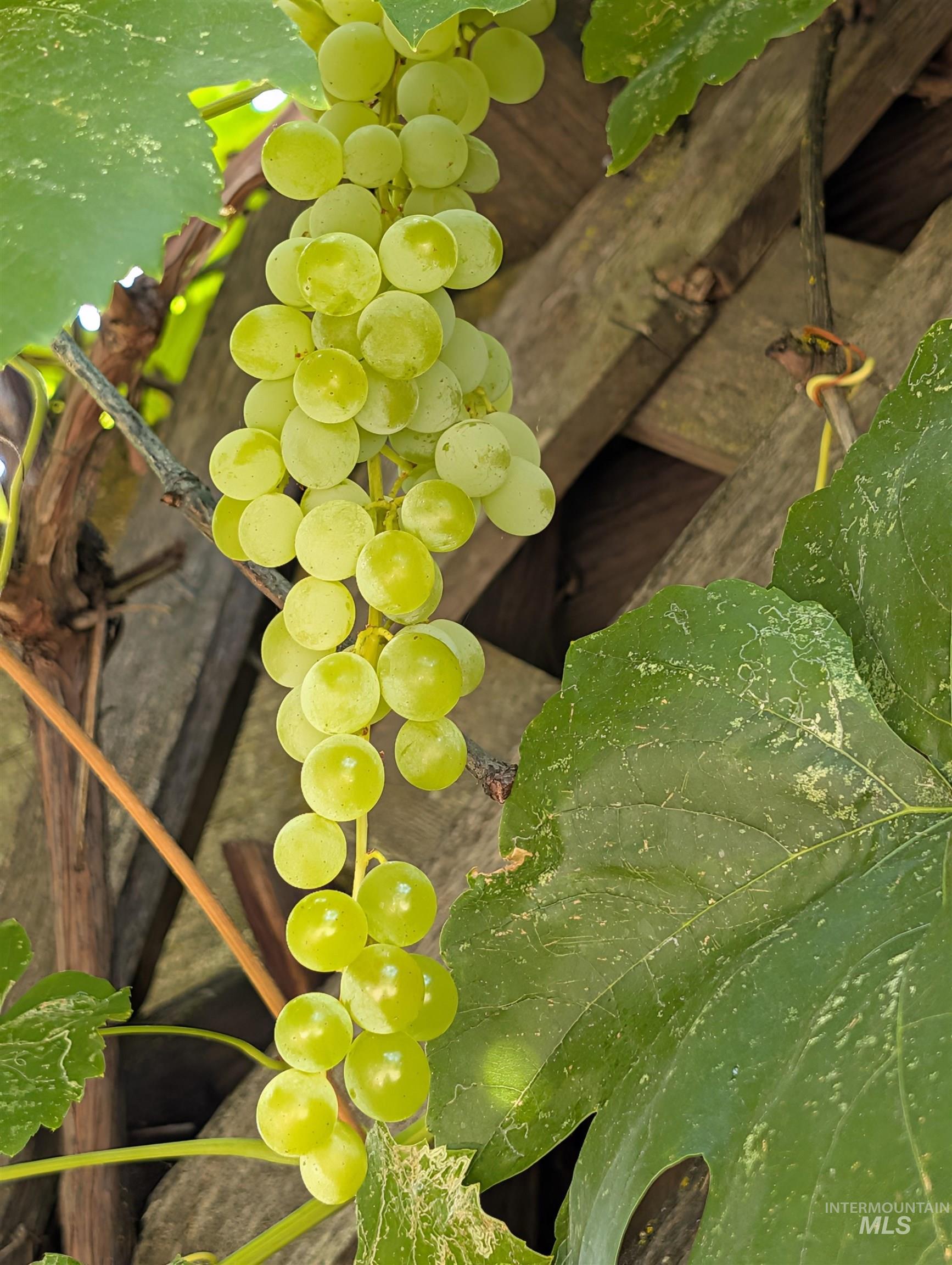 1224 E Hays St, Boise, Idaho 83712, 5 Bedrooms, 3.5 Bathrooms, Residential For Sale, Price $1,200,000, 98979640