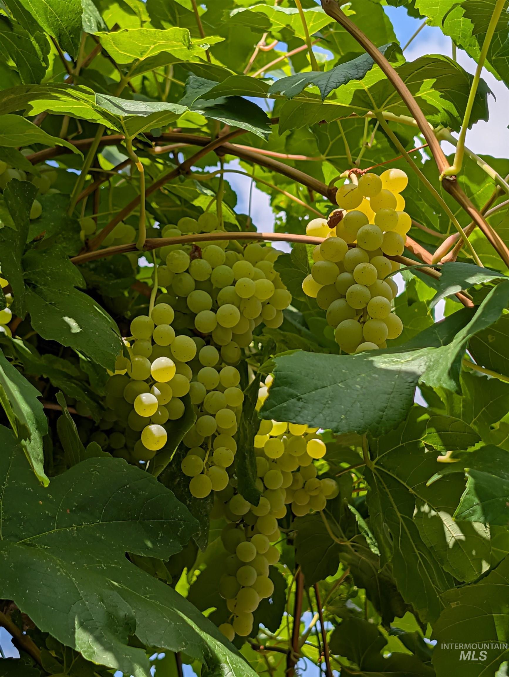 1224 E Hays St, Boise, Idaho 83712, 5 Bedrooms, 3.5 Bathrooms, Residential For Sale, Price $1,200,000, 98979640