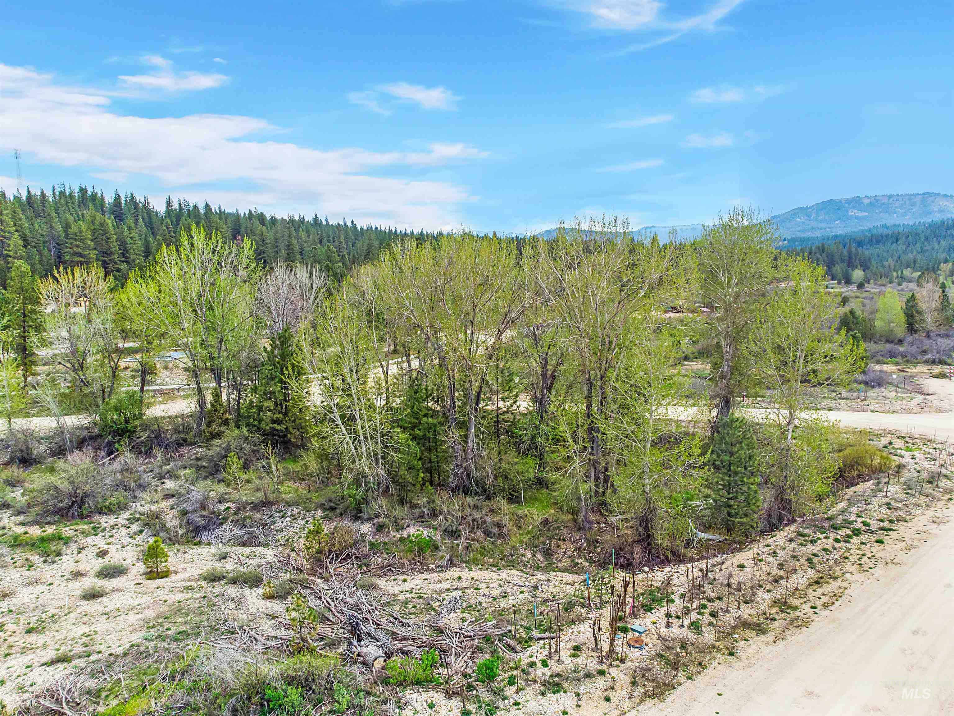 Lot 80 Lainey Lane, Idaho City, Idaho 83631, Land For Sale, Price $74,900,MLS 98979643