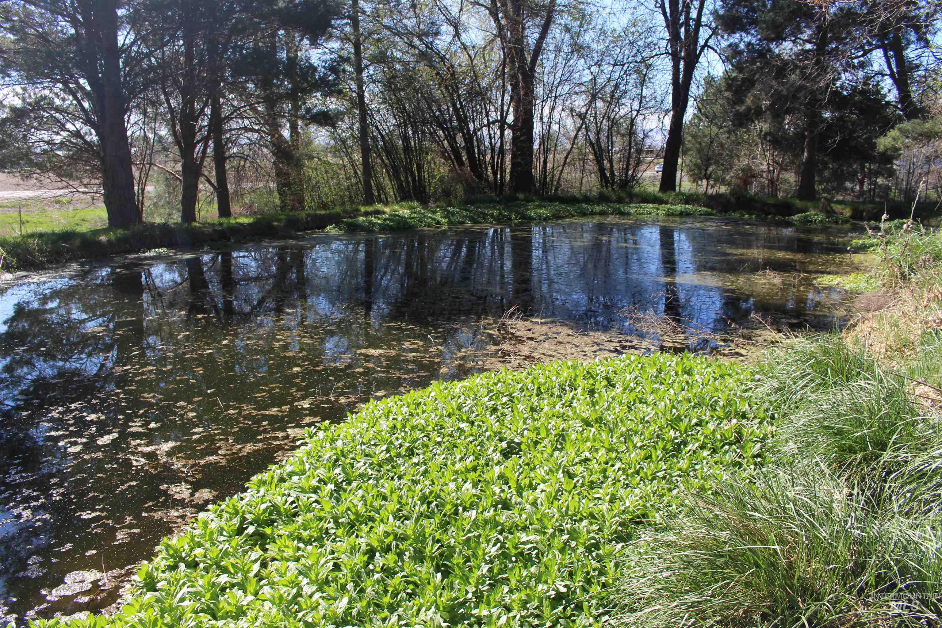 TBD Highway 95, Wilder, Idaho 83676, Land For Sale, Price $600,000, 98979656