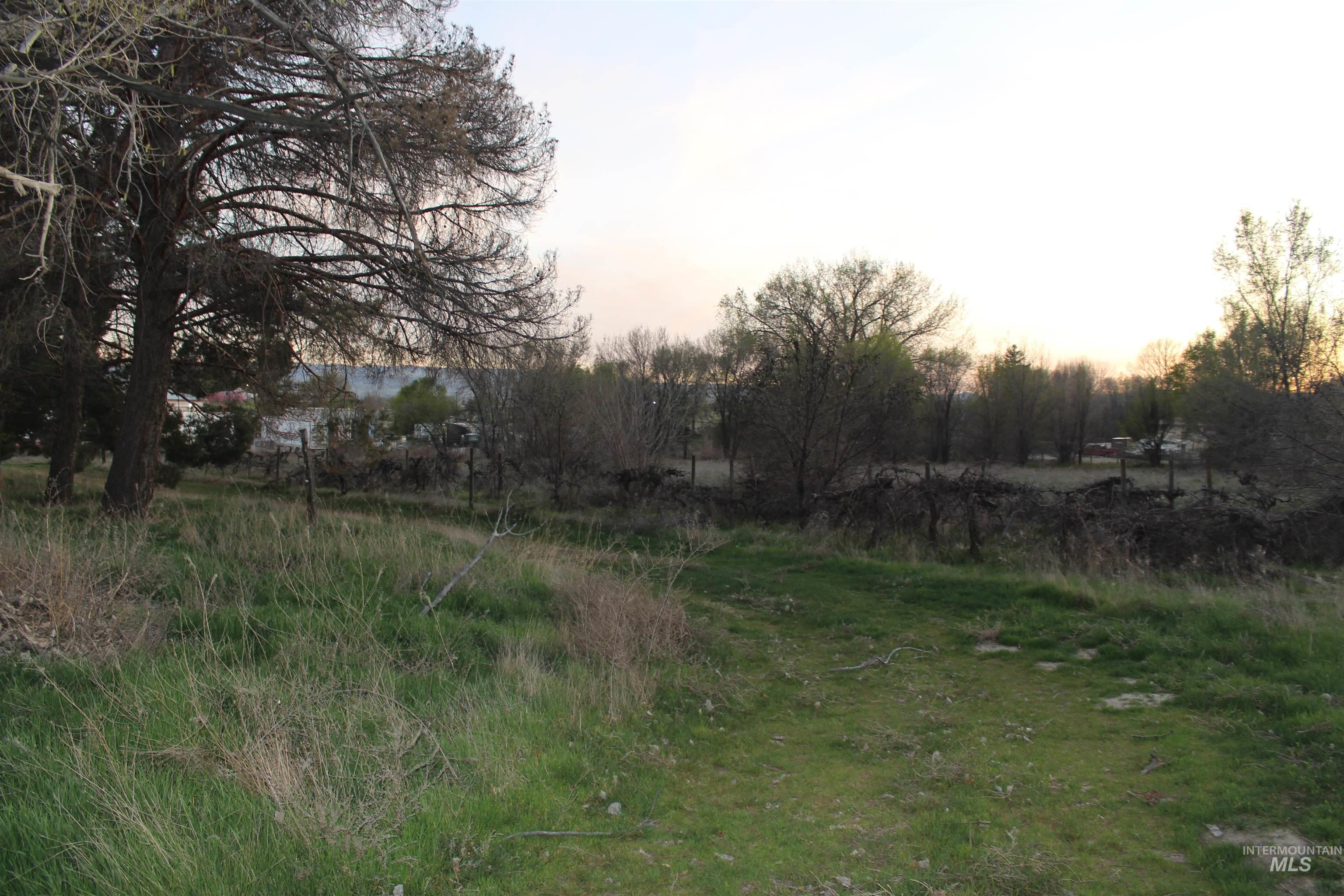 TBD Highway 95, Wilder, Idaho 83676, Land For Sale, Price $600,000, 98979656