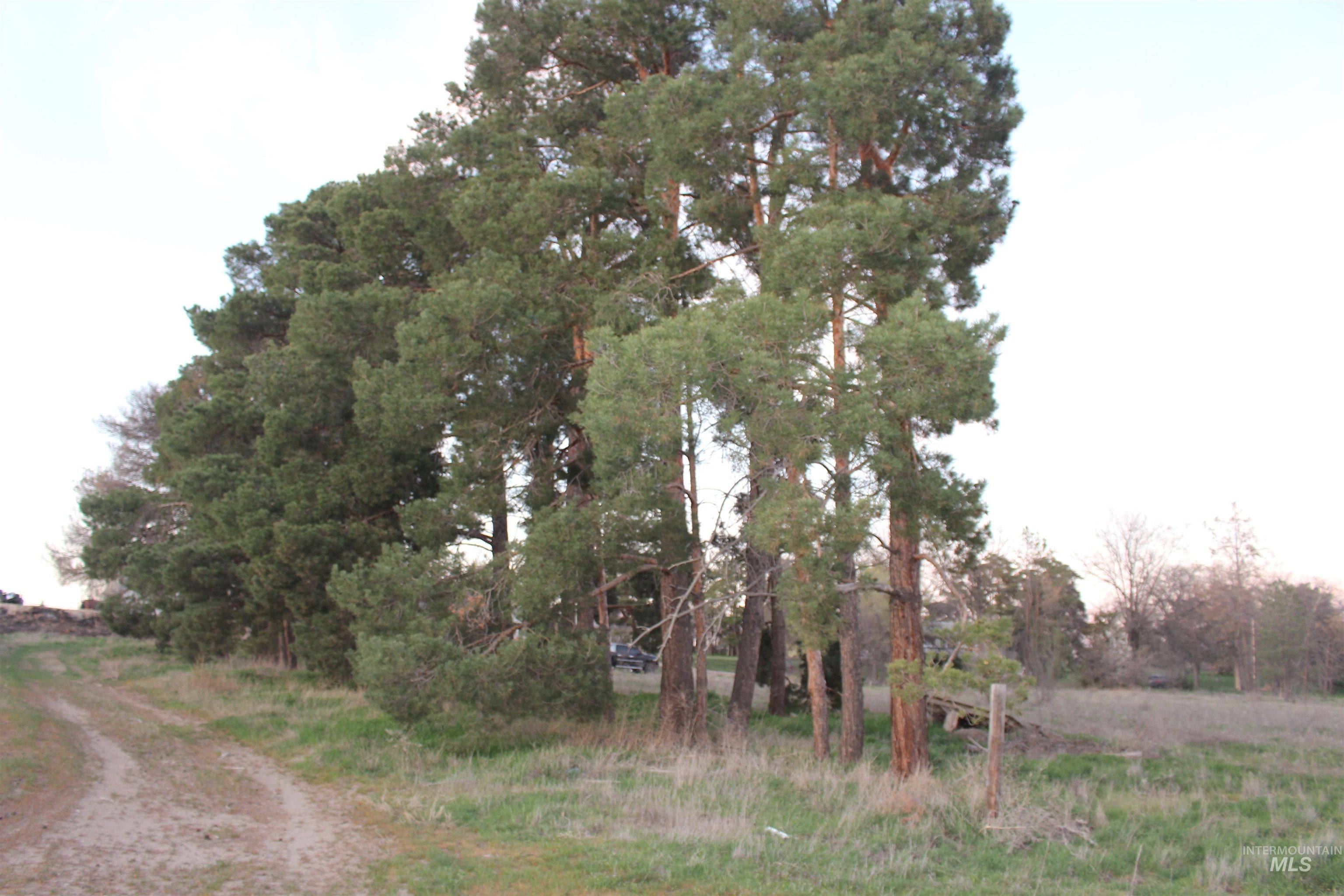 TBD Highway 95, Wilder, Idaho 83676, Land For Sale, Price $600,000, 98979656