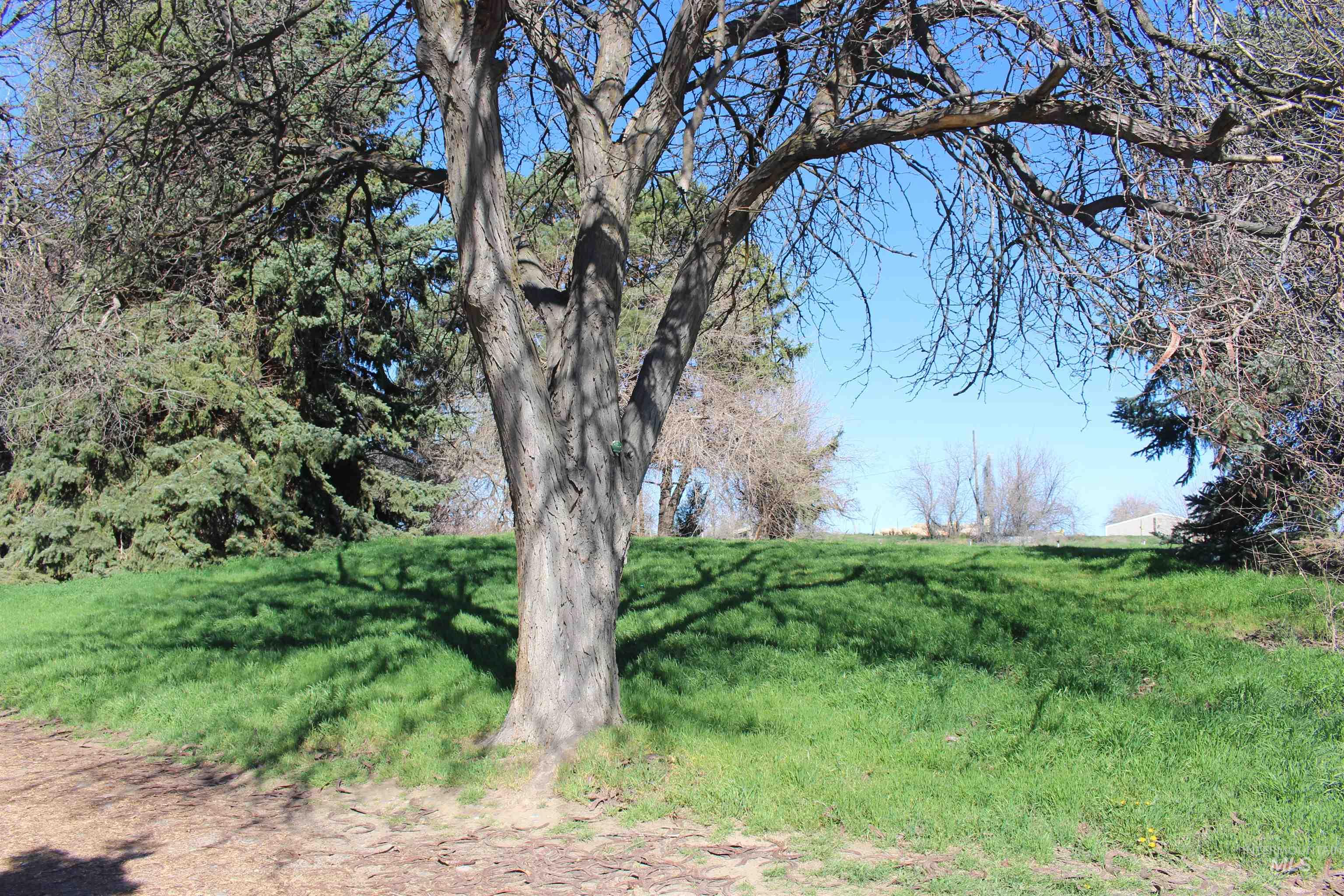 TBD Highway 95, Wilder, Idaho 83676, Land For Sale, Price $600,000, 98979656