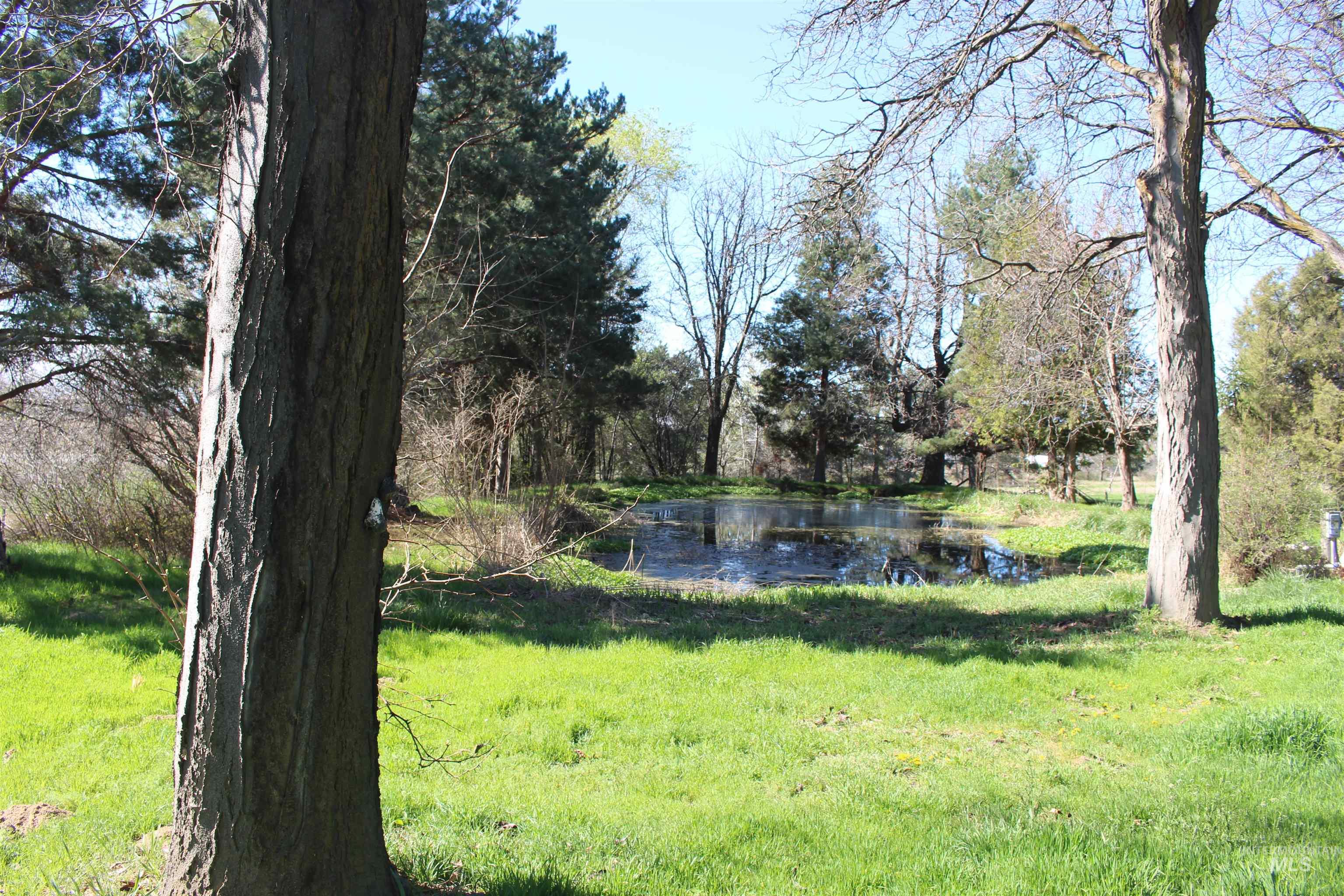 TBD Highway 95, Wilder, Idaho 83676, Land For Sale, Price $600,000, 98979656