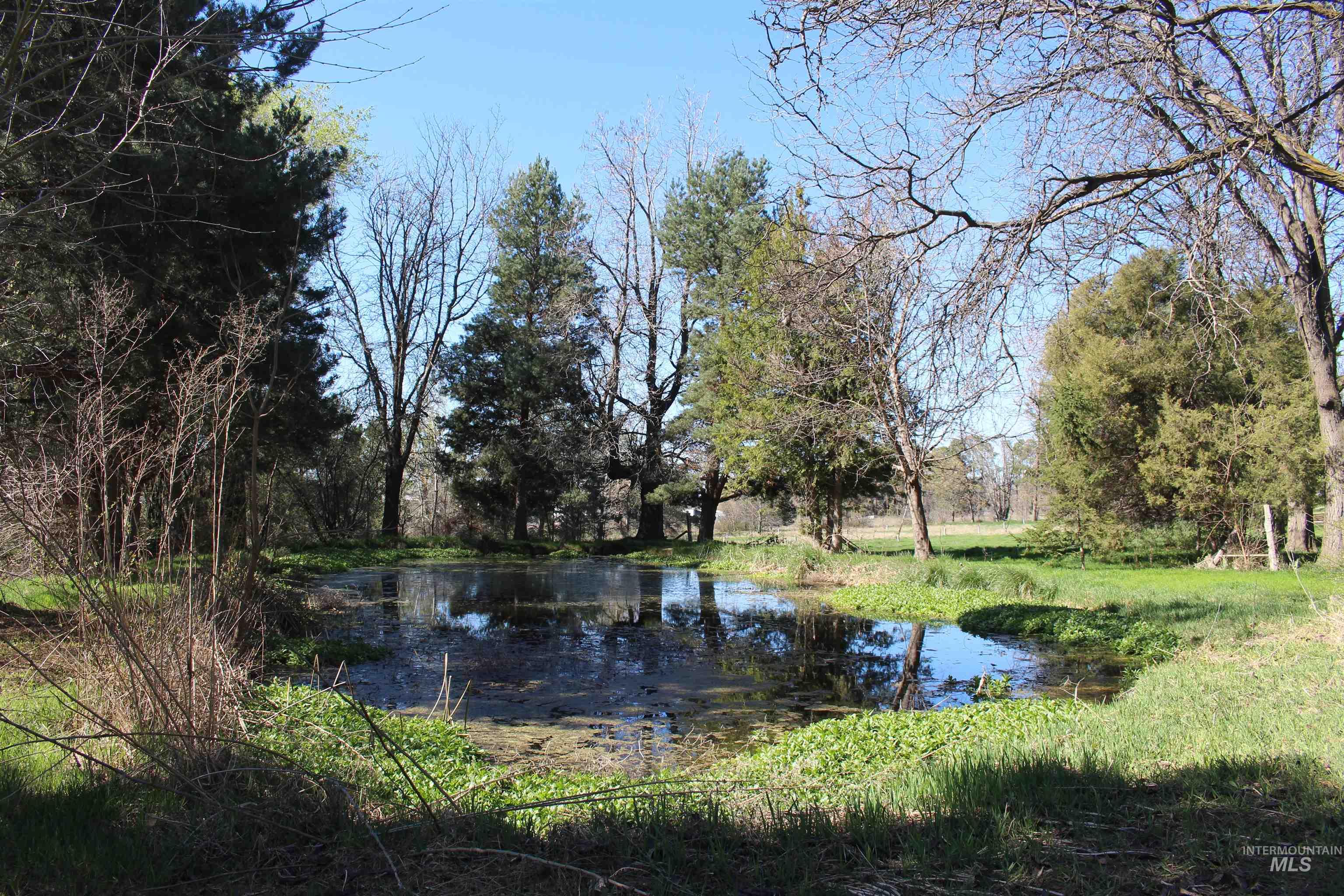 TBD Highway 95, Wilder, Idaho 83676, Land For Sale, Price $600,000, 98979656