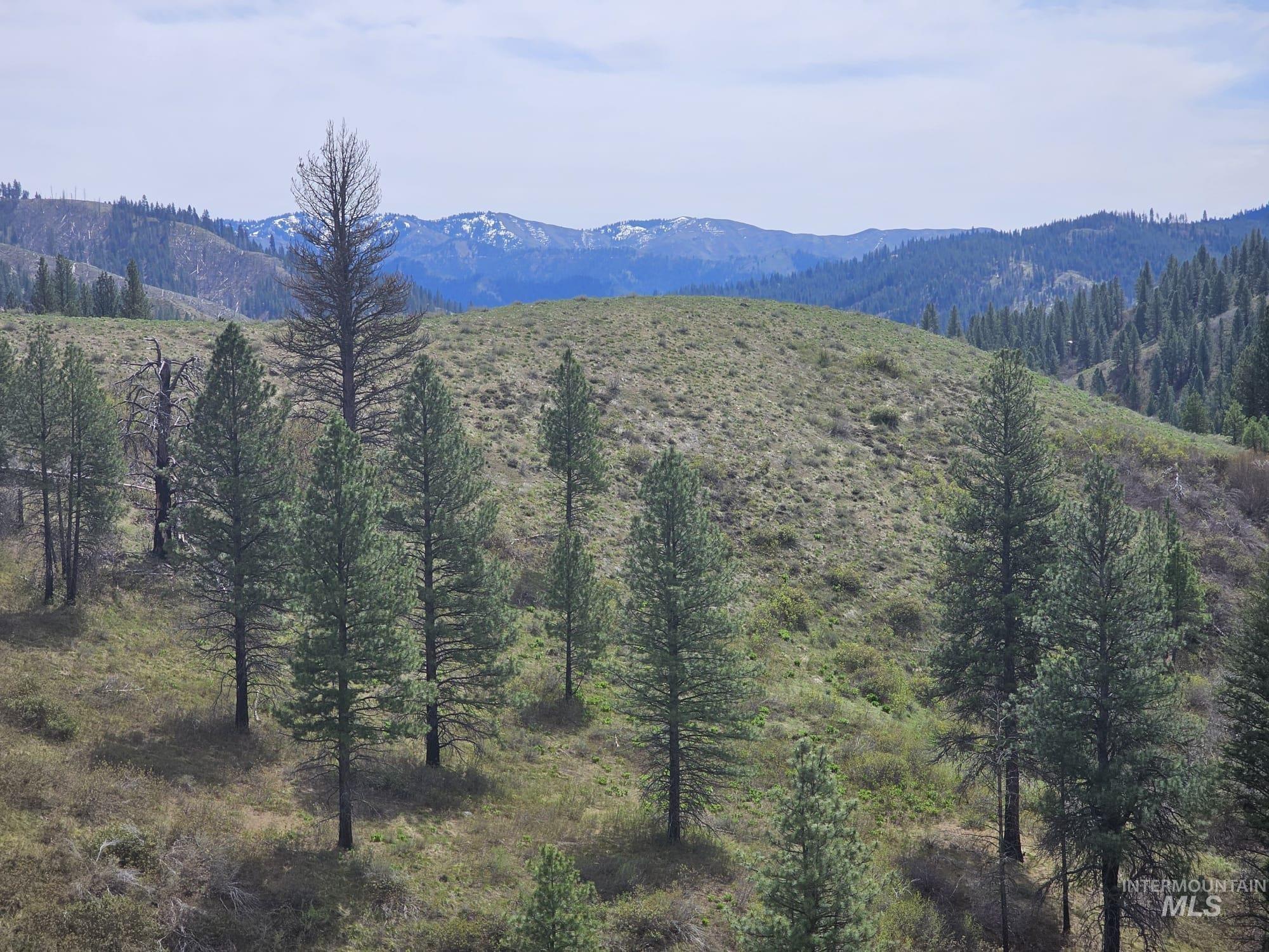 49 Walker Creek Drive, Boise, Idaho 83716, Land For Sale, Price $159,000, 98979678