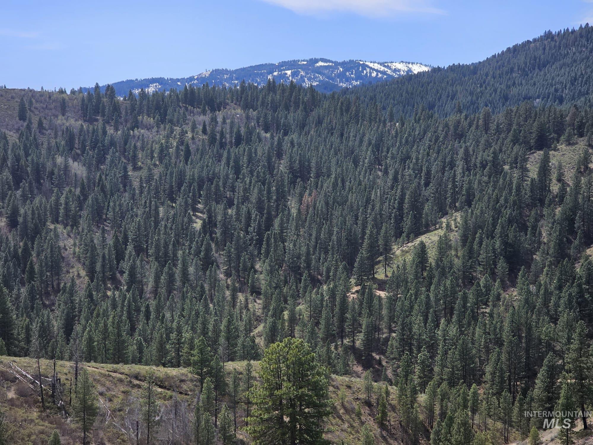 49 Walker Creek Drive, Boise, Idaho 83716, Land For Sale, Price $159,000, 98979678