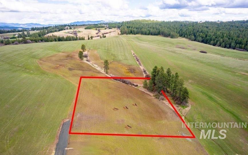 NKA Clifford Road, Princeton, Idaho 83857, Land For Sale, Price $250,000, 98979684