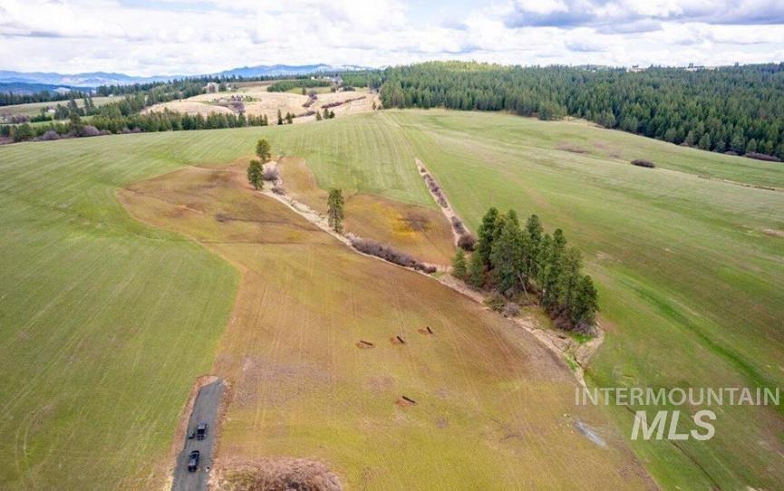 NKA Clifford Road, Princeton, Idaho 83857, Land For Sale, Price $250,000, 98979684
