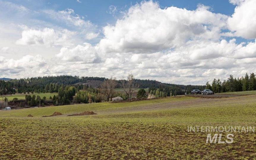 NKA Clifford Road, Princeton, Idaho 83857, Land For Sale, Price $250,000, 98979684
