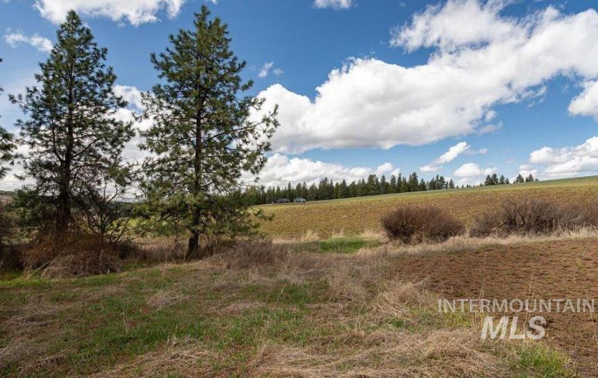 NKA Clifford Road, Princeton, Idaho 83857, Land For Sale, Price $250,000, 98979684