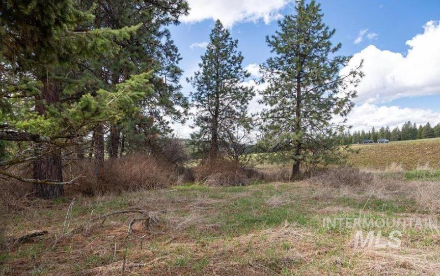 NKA Clifford Road, Princeton, Idaho 83857, Land For Sale, Price $250,000, 98979684
