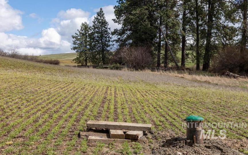 NKA Clifford Road, Princeton, Idaho 83857, Land For Sale, Price $250,000, 98979684