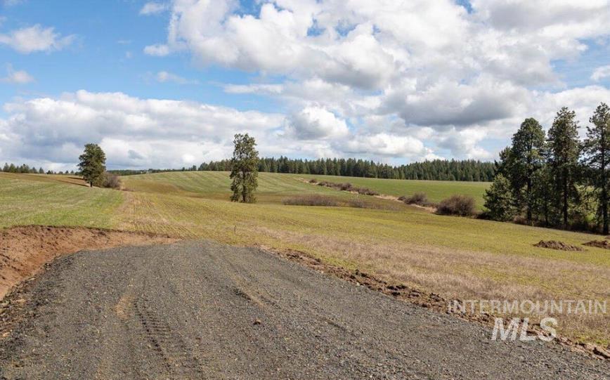 NKA Clifford Road, Princeton, Idaho 83857, Land For Sale, Price $250,000, 98979684