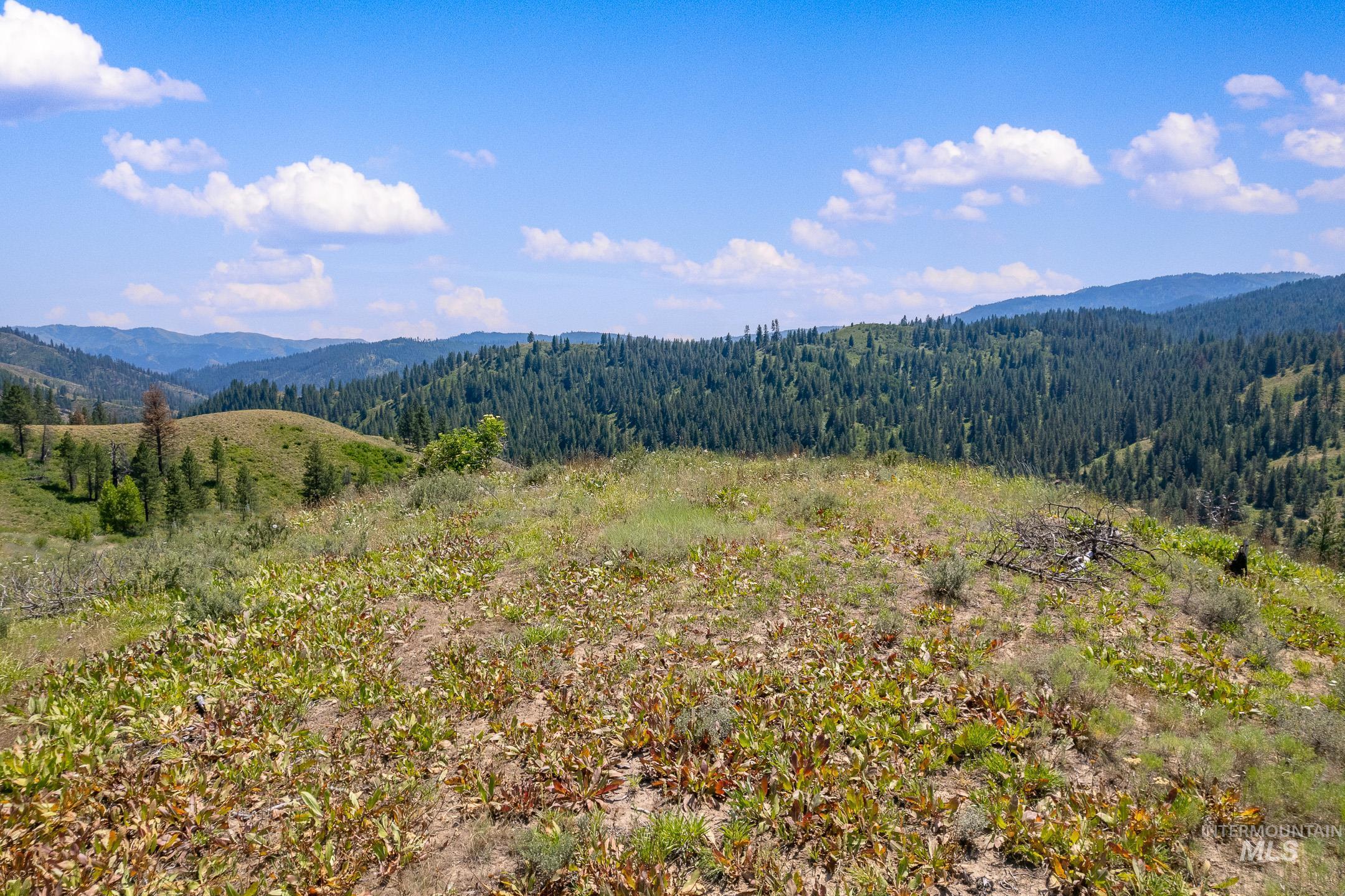 TBD Walker Lane, Boise, Idaho 83716, Land For Sale, Price $204,900, 98979694