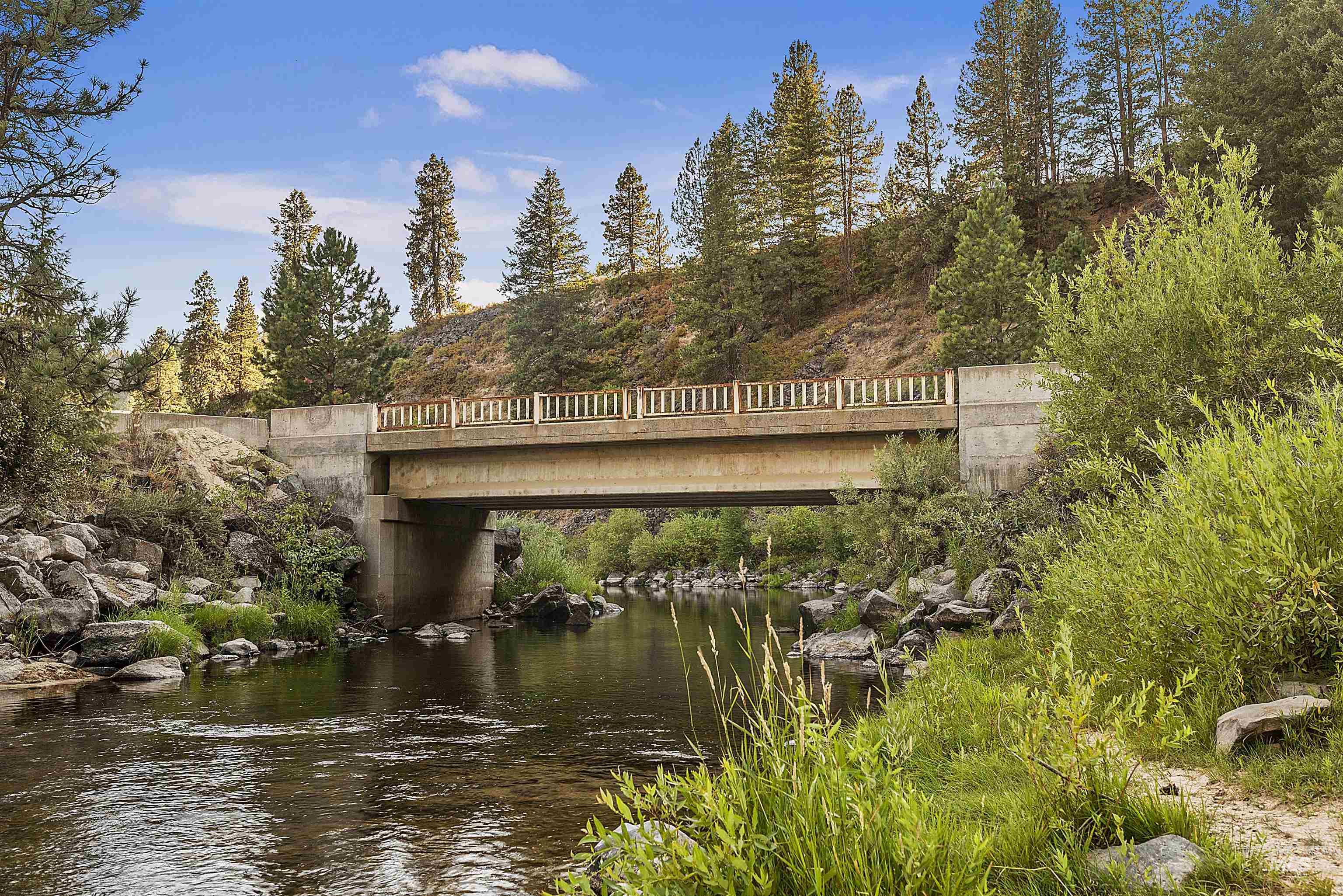 206 Lainey Ln., Idaho City, Idaho 83631, Land For Sale, Price $97,900, 98979700