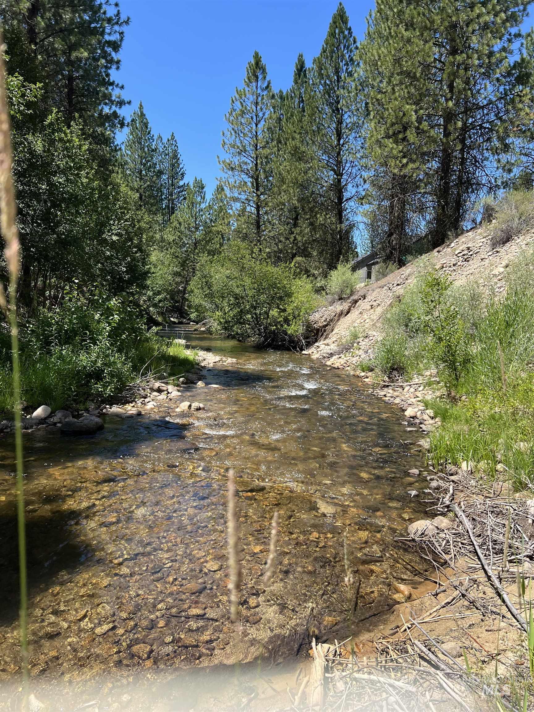 206 Lainey Ln., Idaho City, Idaho 83631, Land For Sale, Price $97,900,MLS 98979700