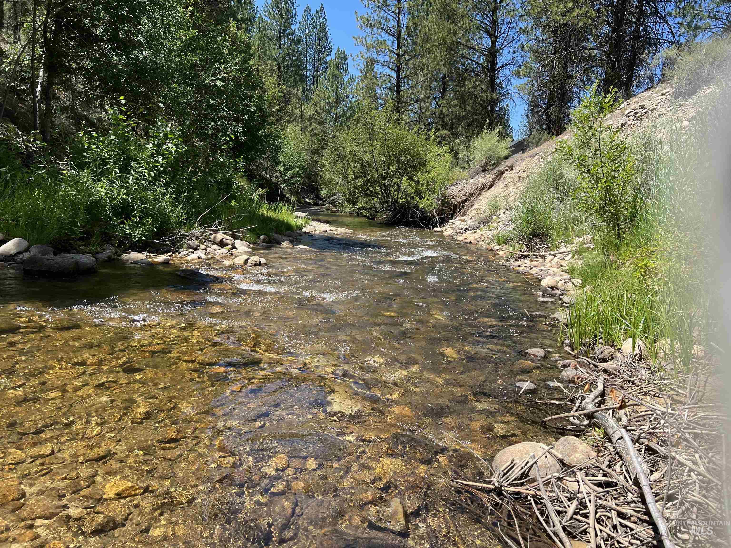 206 Lainey Ln., Idaho City, Idaho 83631, Land For Sale, Price $97,900,MLS 98979700