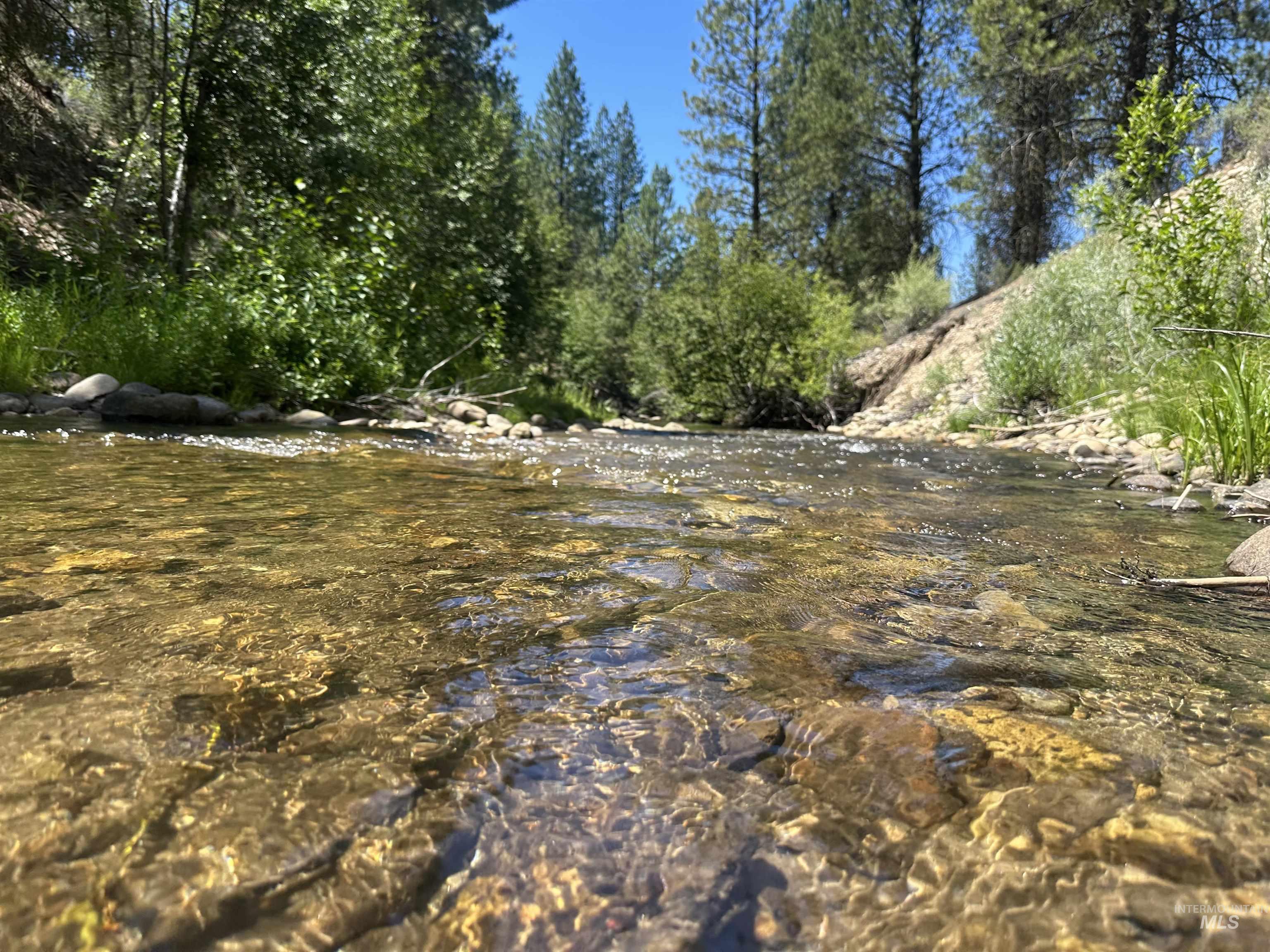 206 Lainey Ln., Idaho City, Idaho 83631, Land For Sale, Price $97,900,MLS 98979700