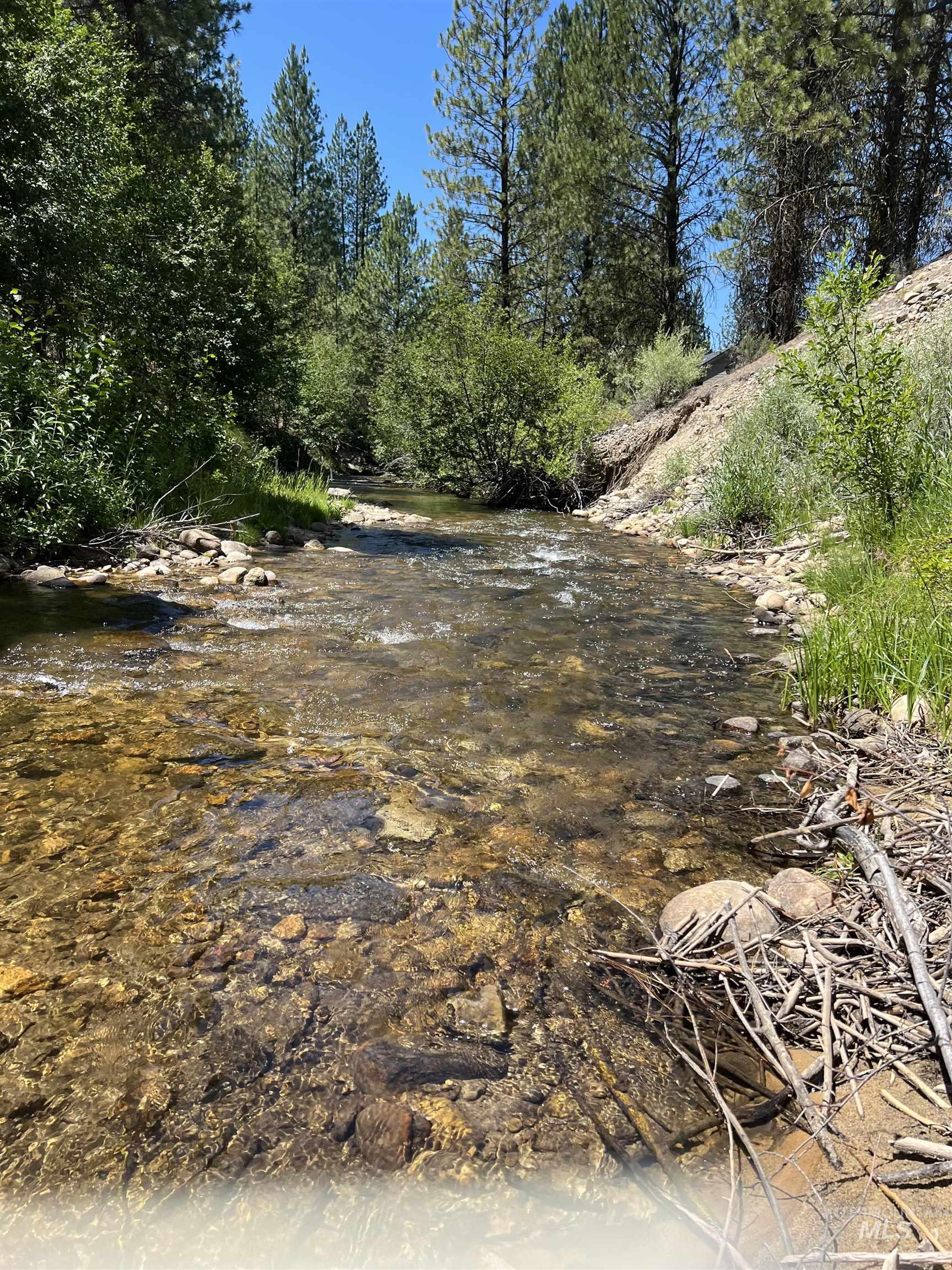 206 Lainey Ln., Idaho City, Idaho 83631, Land For Sale, Price $97,900,MLS 98979700