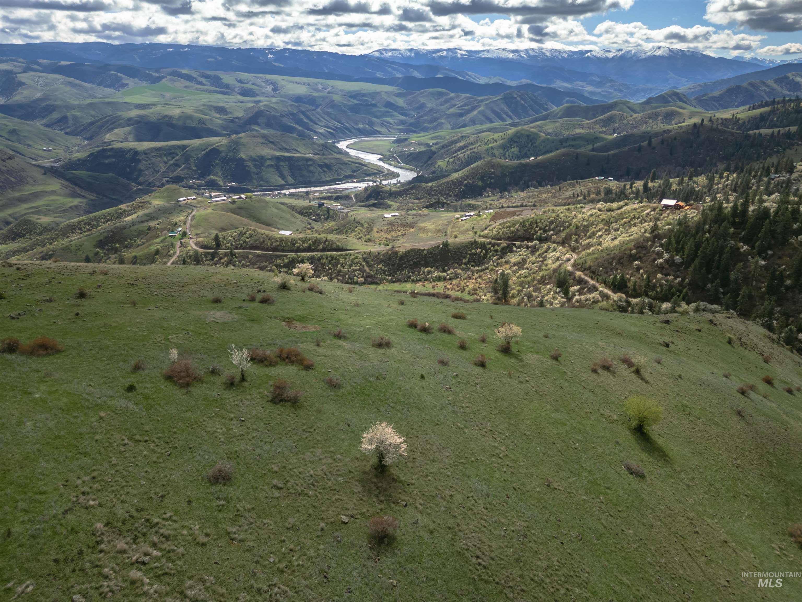 TBD Blue Grouse Road, White Bird, Idaho 83554, Land For Sale, Price $129,000,MLS 98979708