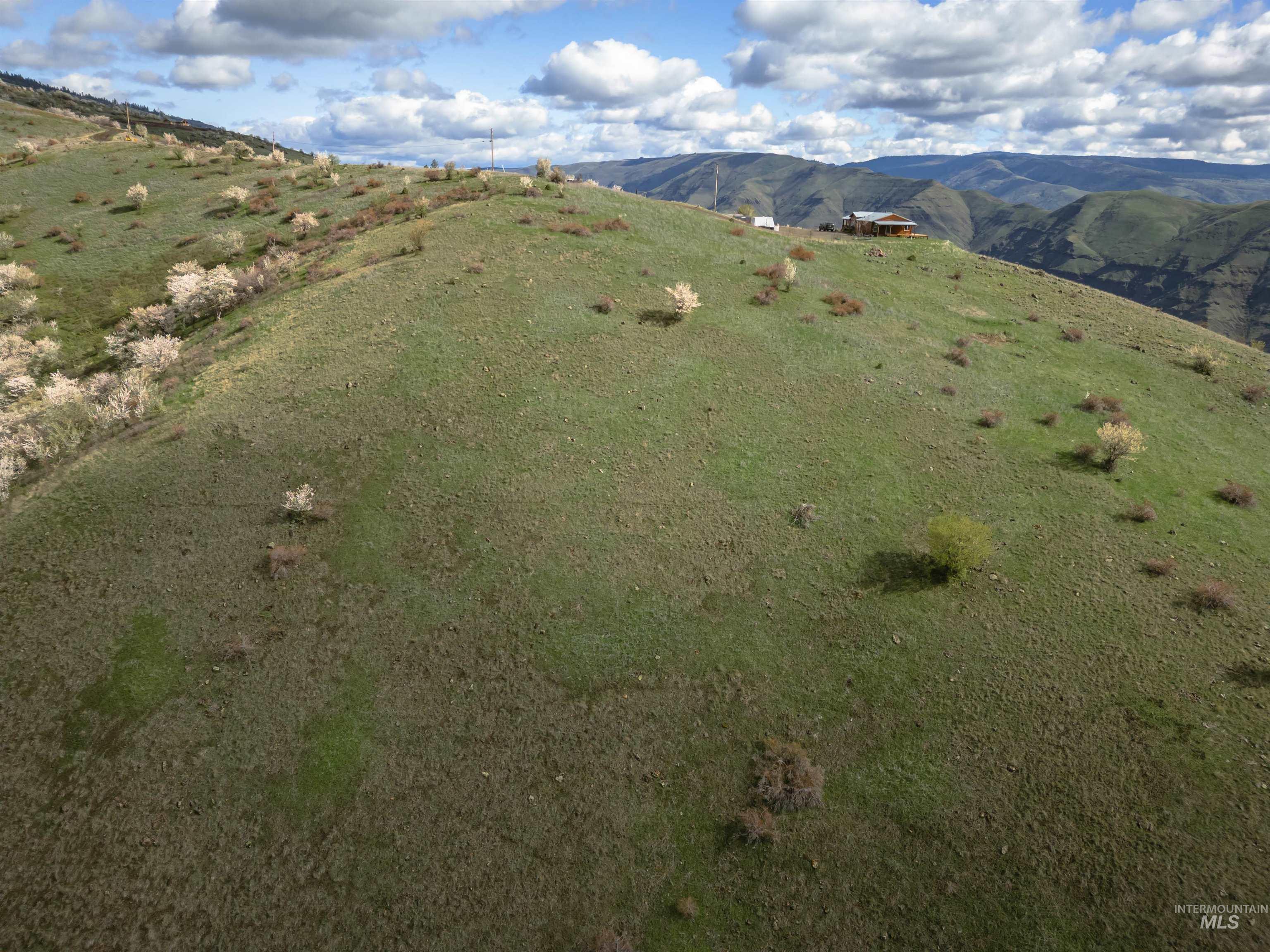 TBD Blue Grouse Road, White Bird, Idaho 83554, Land For Sale, Price $129,000,MLS 98979708