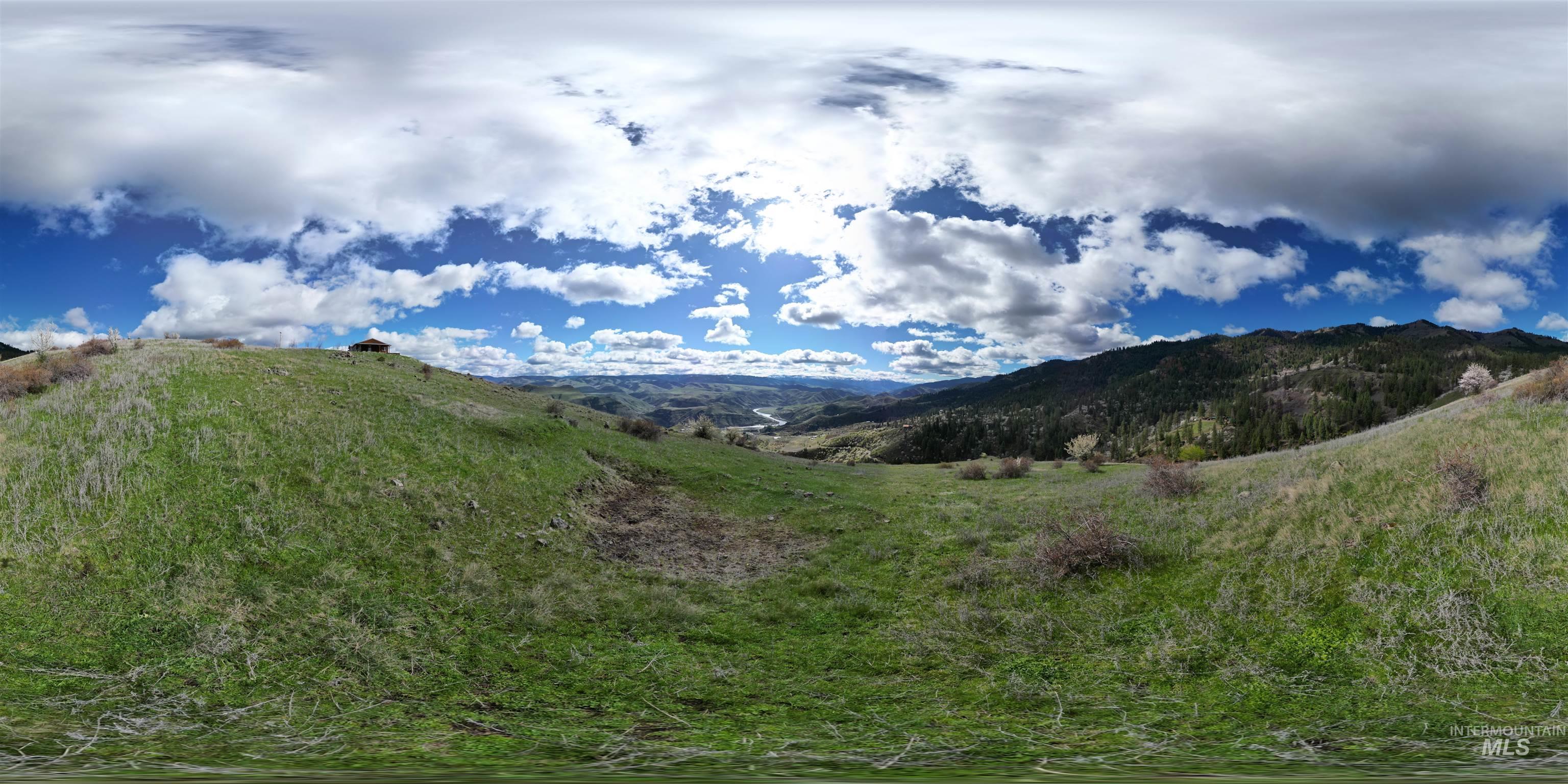 TBD Blue Grouse Road, White Bird, Idaho 83554, Land For Sale, Price $129,000,MLS 98979708