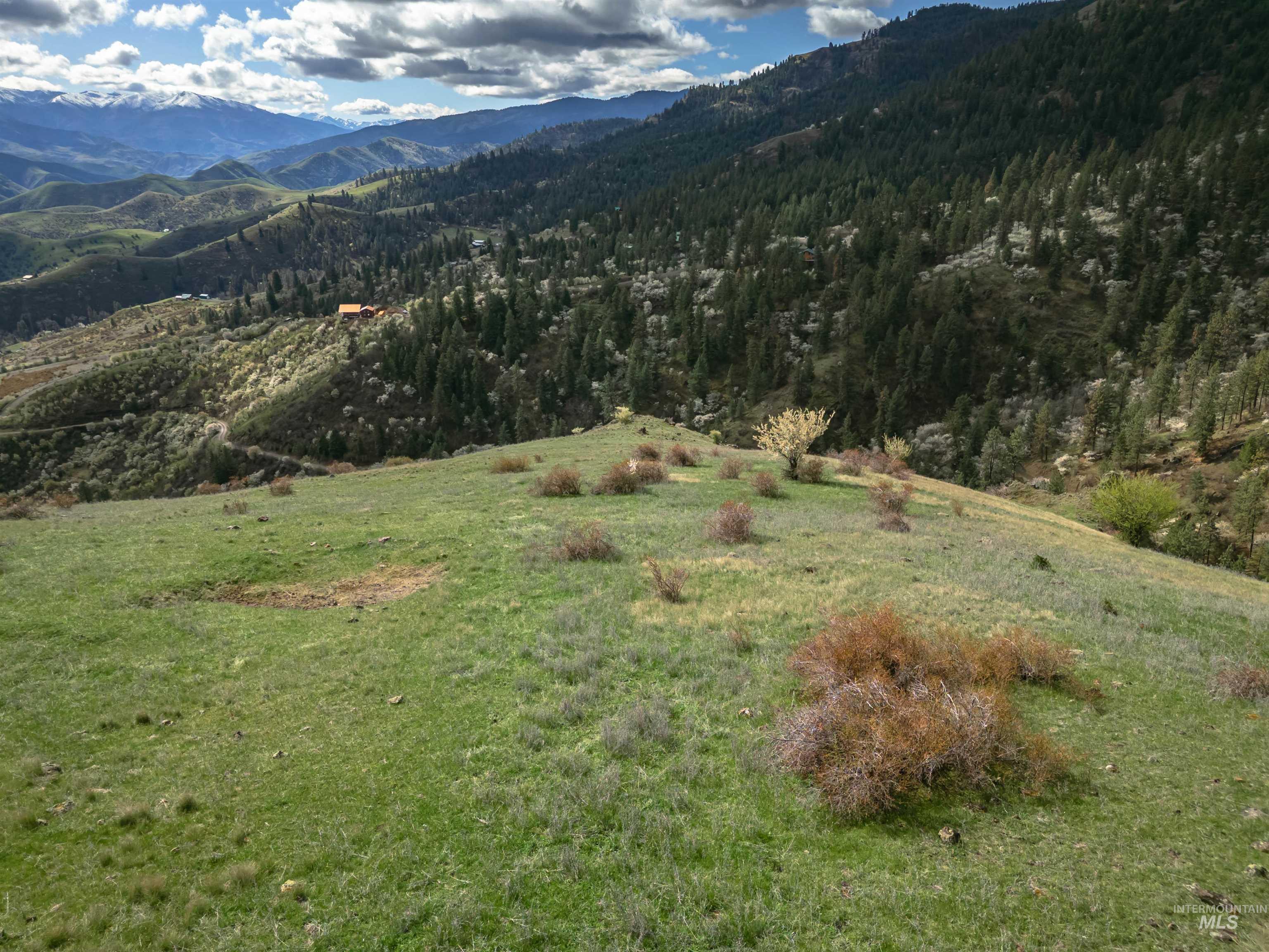 TBD Blue Grouse Road, White Bird, Idaho 83554, Land For Sale, Price $129,000,MLS 98979708