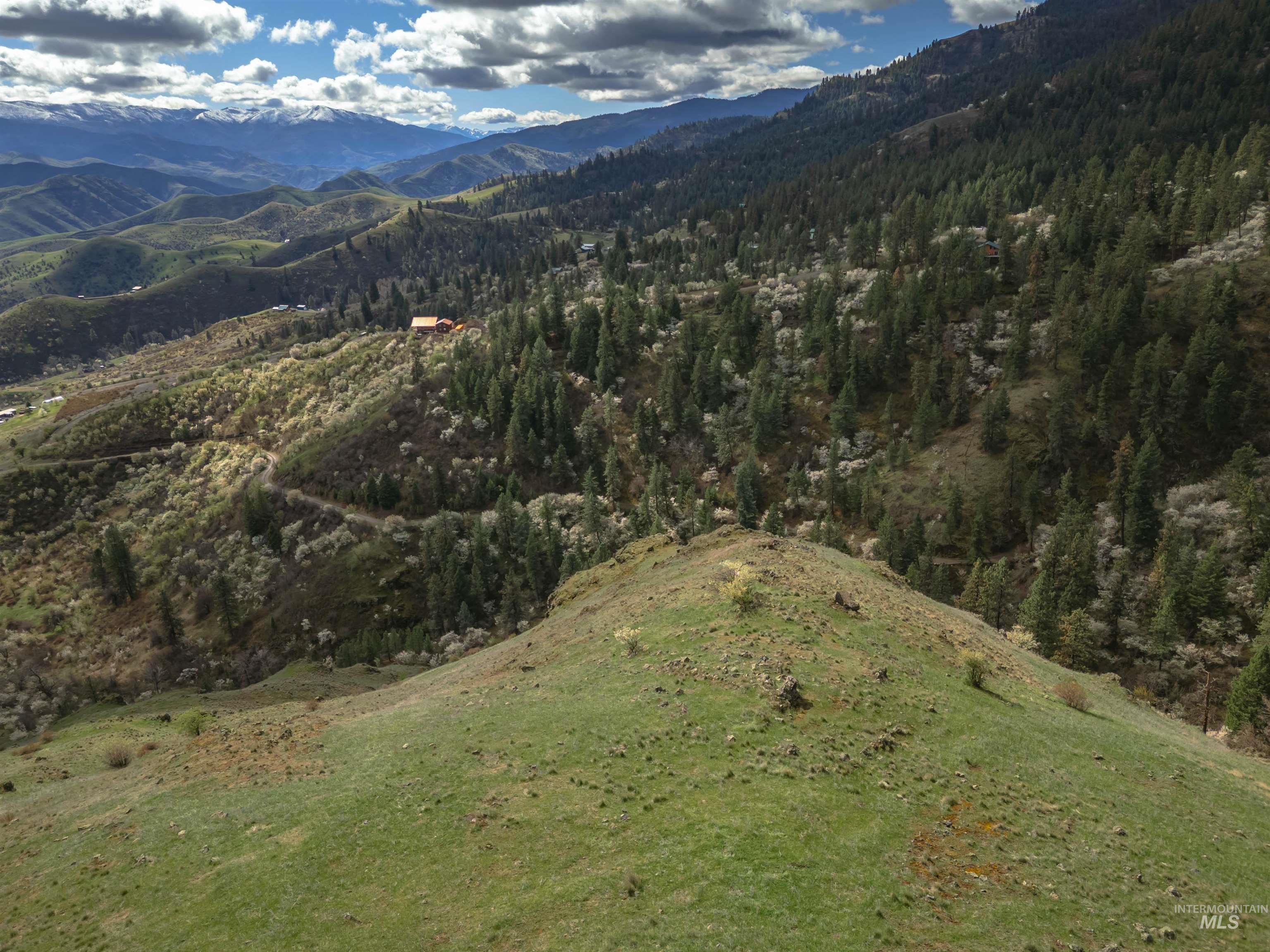 TBD Blue Grouse Road, White Bird, Idaho 83554, Land For Sale, Price $129,000,MLS 98979708