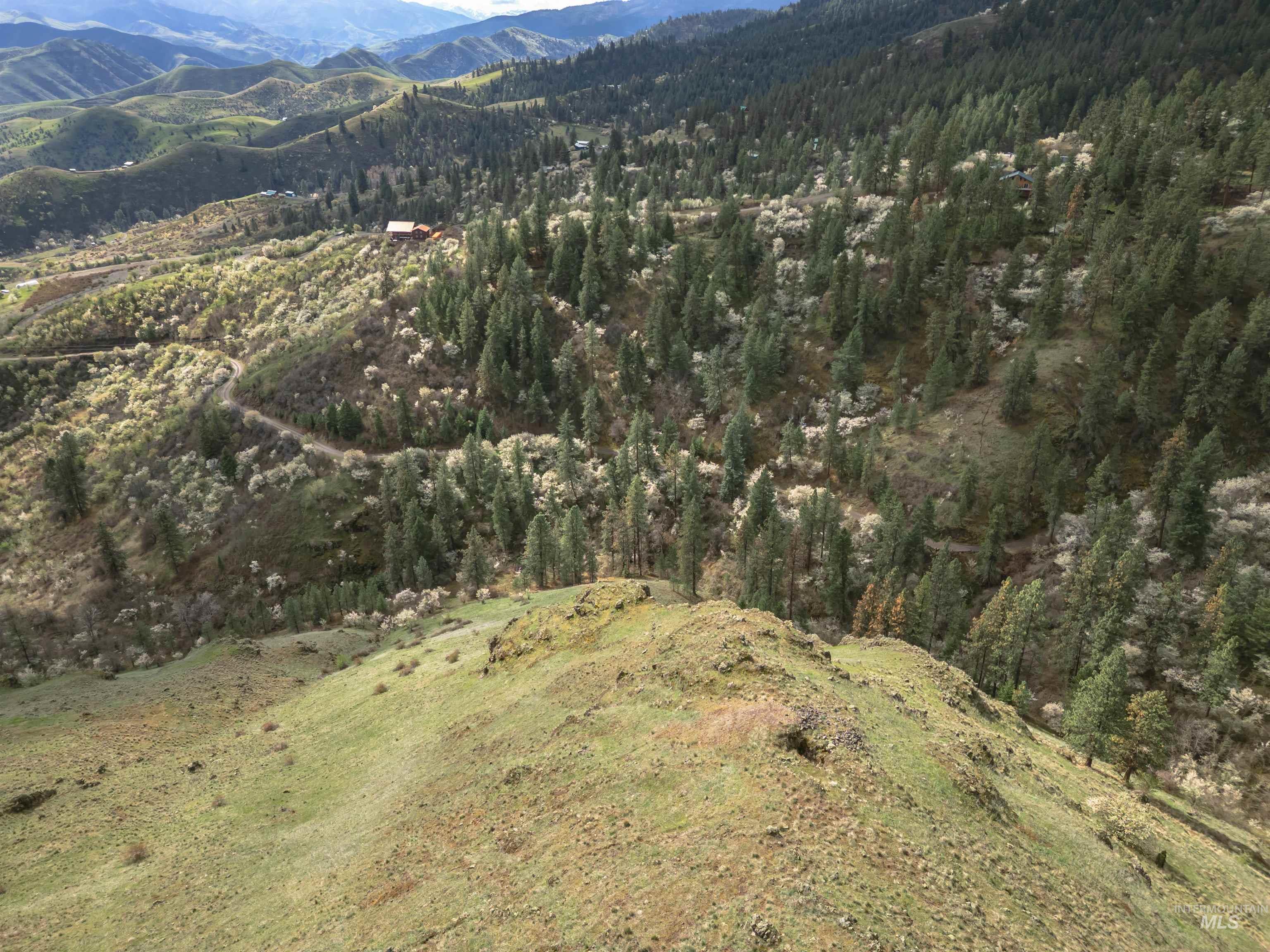 TBD Blue Grouse Road, White Bird, Idaho 83554, Land For Sale, Price $129,000,MLS 98979708