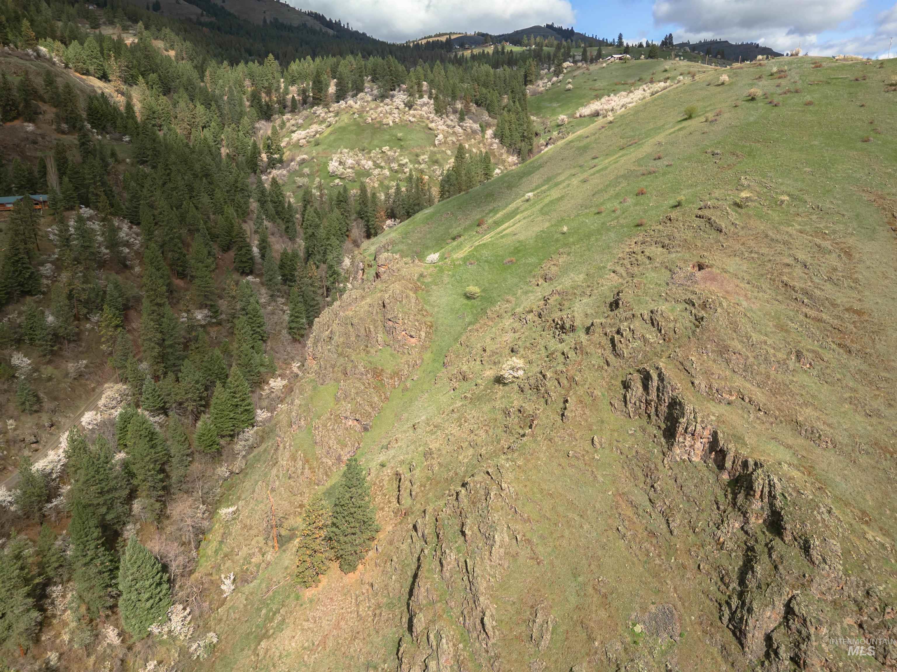 TBD Blue Grouse Road, White Bird, Idaho 83554, Land For Sale, Price $129,000,MLS 98979708