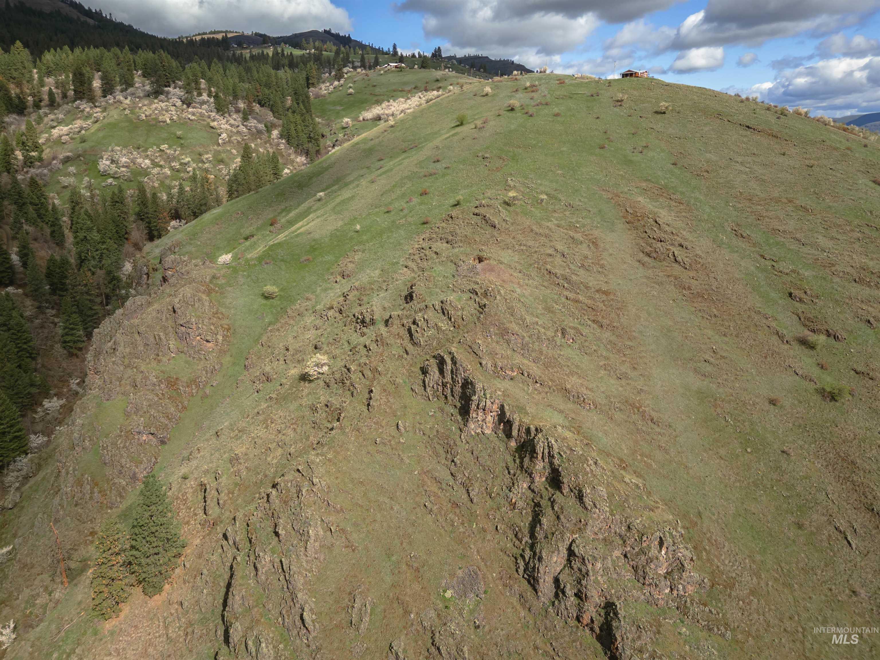 TBD Blue Grouse Road, White Bird, Idaho 83554, Land For Sale, Price $129,000,MLS 98979708