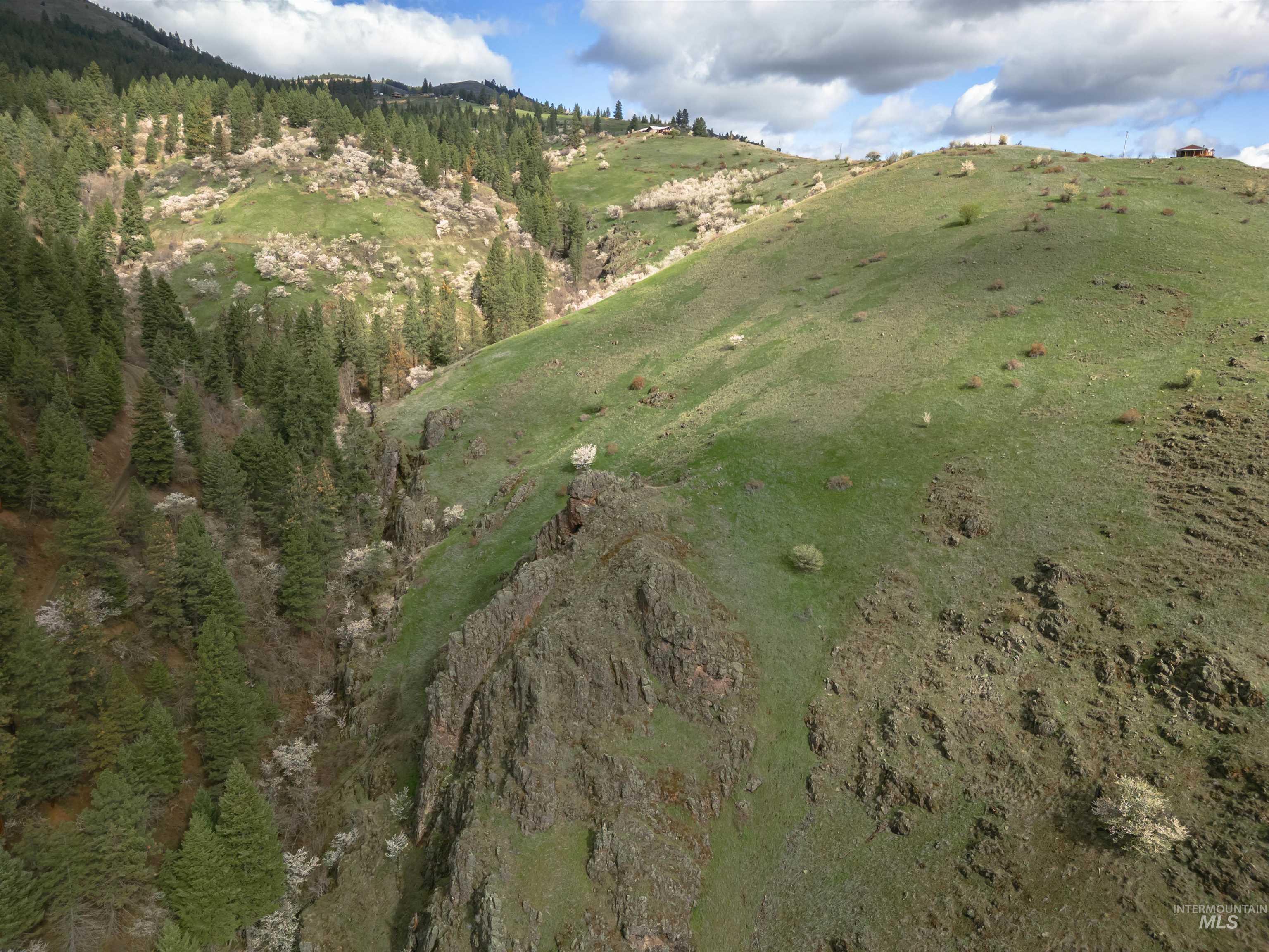 TBD Blue Grouse Road, White Bird, Idaho 83554, Land For Sale, Price $129,000,MLS 98979708