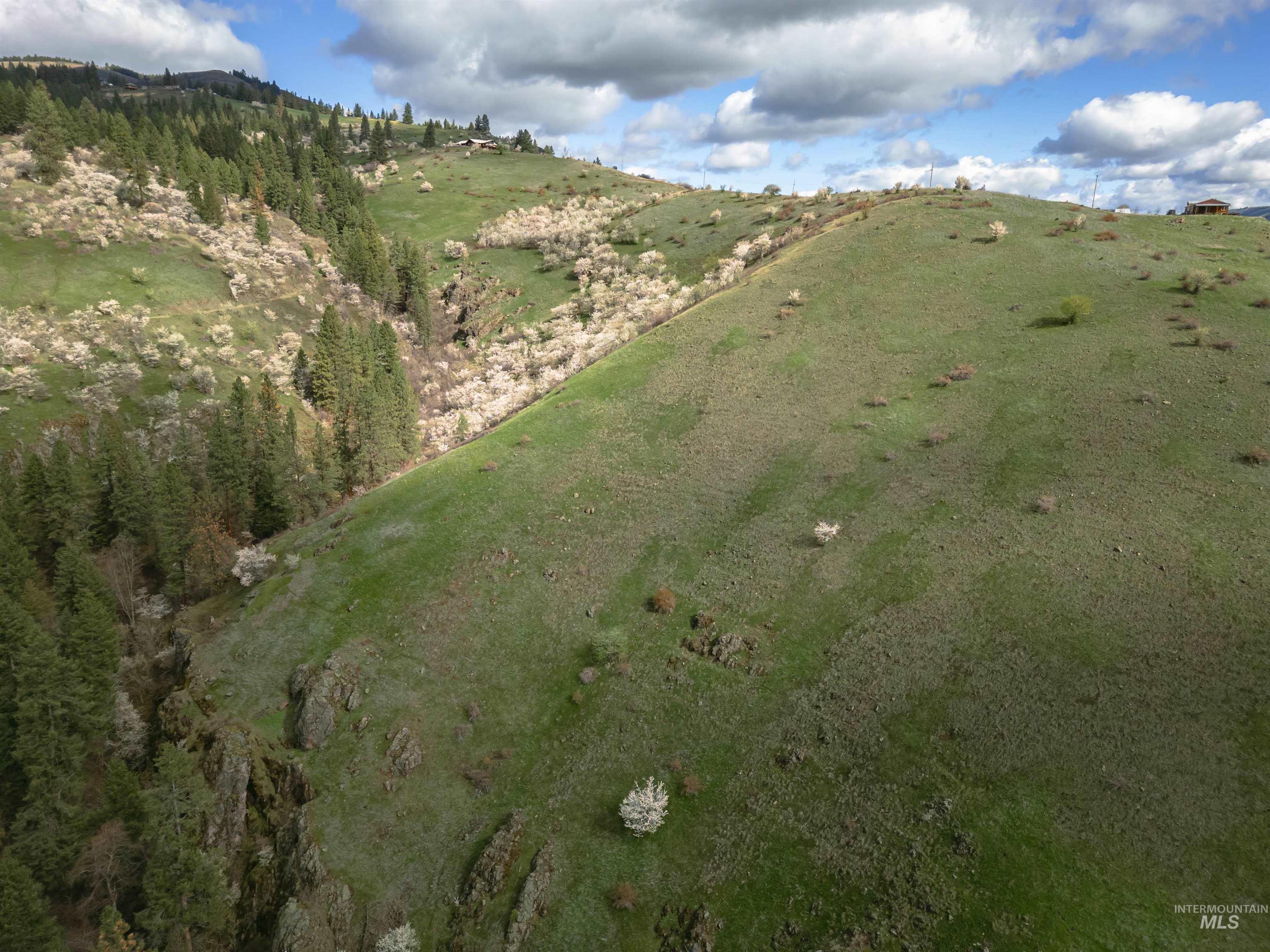 TBD Blue Grouse Road, White Bird, Idaho 83554, Land For Sale, Price $129,000,MLS 98979708