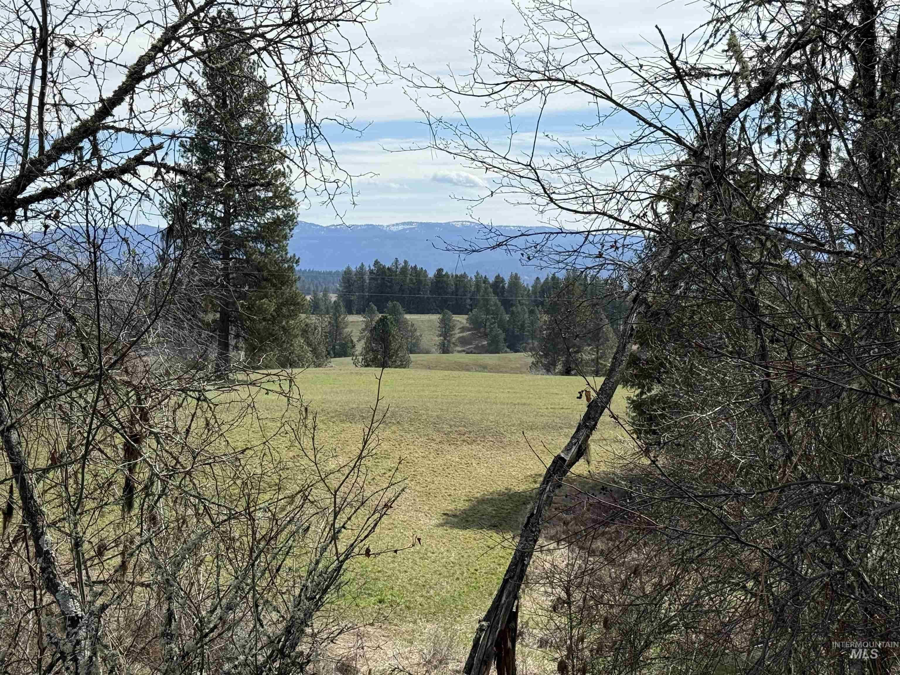 TBD Kidder Ridge Rd, Kamiah, Idaho 83536, Land For Sale, Price $248,996, 98979713