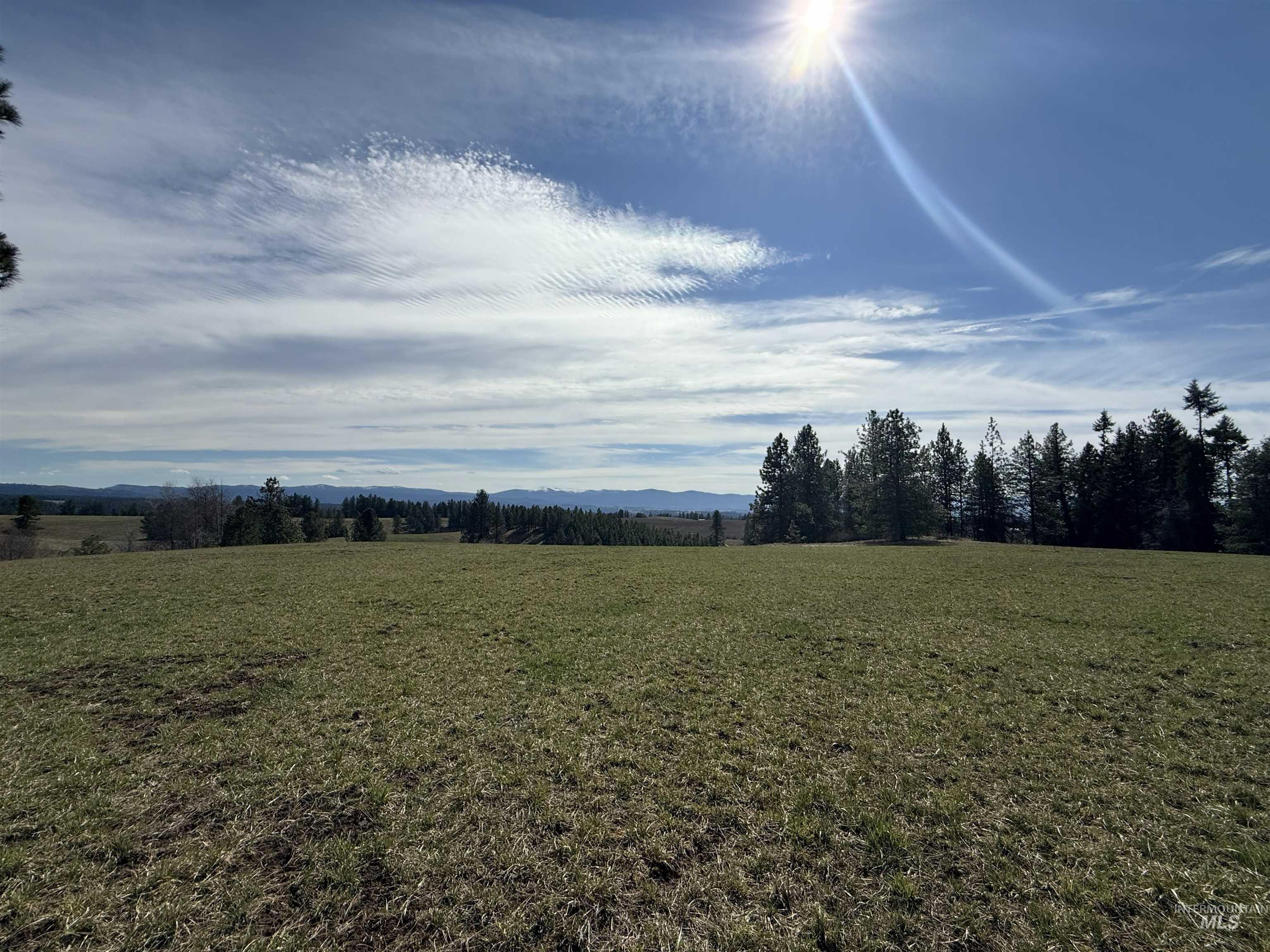 TBD Kidder Ridge Rd, Kamiah, Idaho 83536, Land For Sale, Price $248,996, 98979713