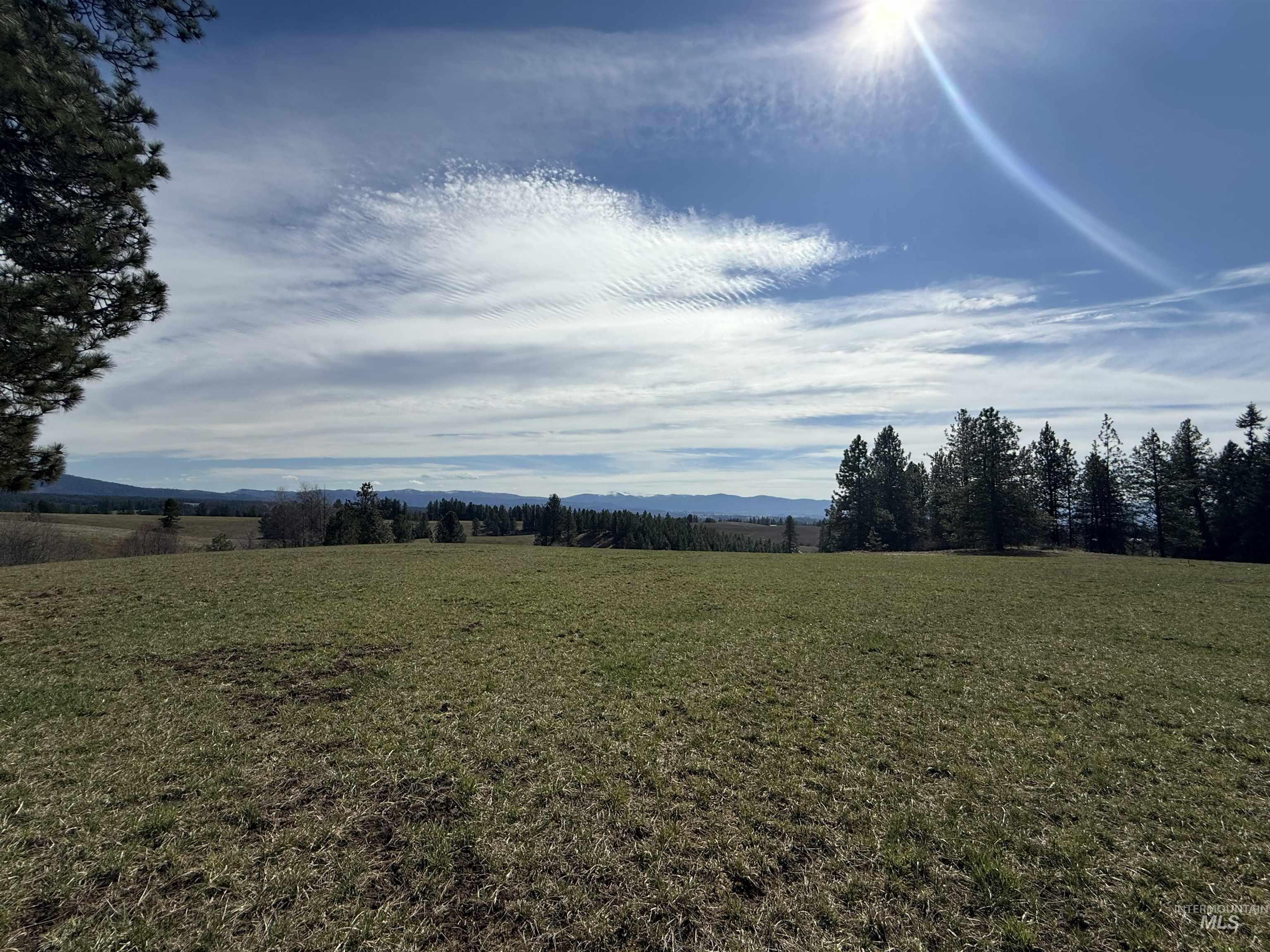 TBD Kidder Ridge Rd, Kamiah, Idaho 83536, Land For Sale, Price $248,996, 98979713