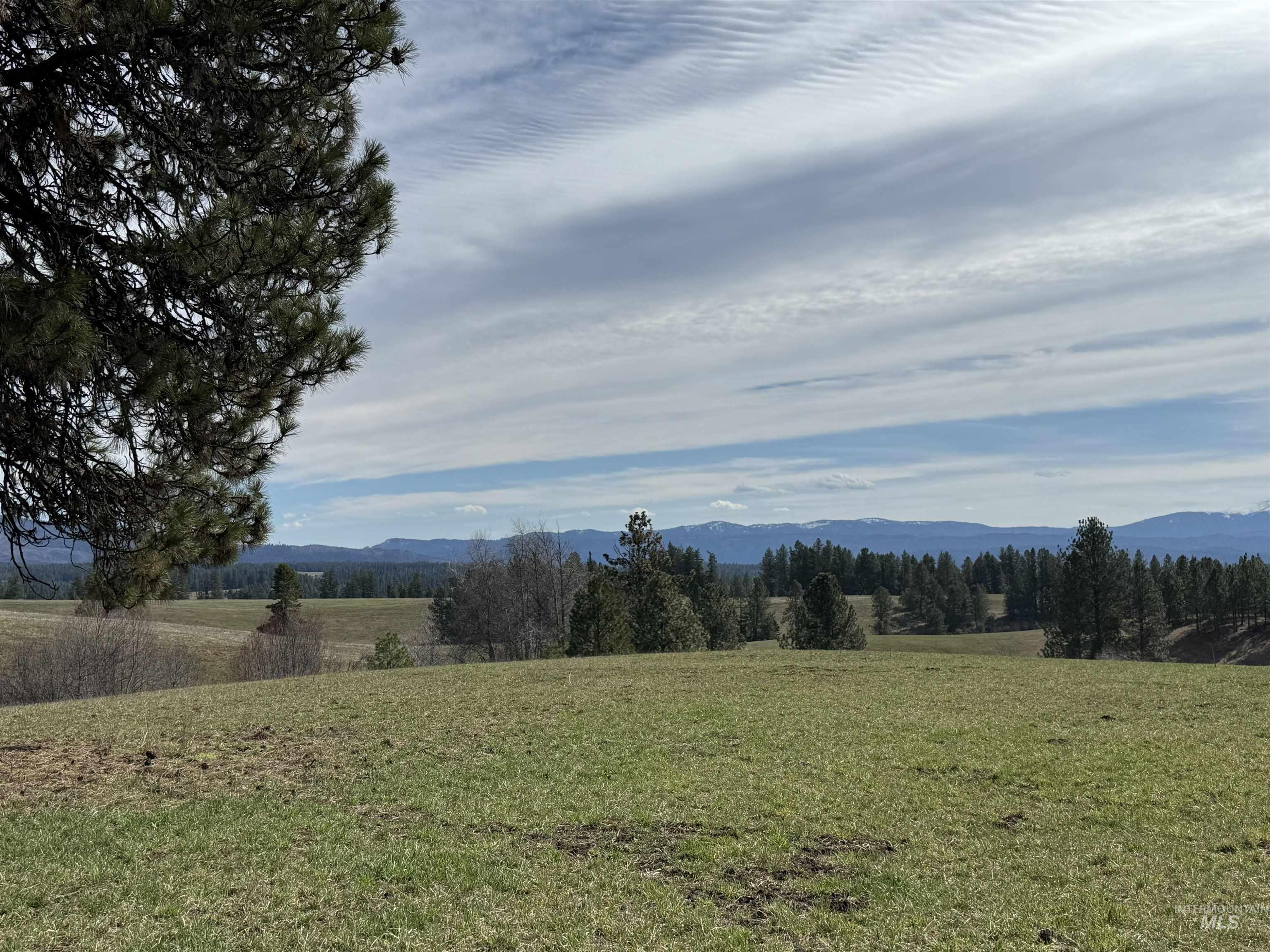 TBD Kidder Ridge Rd, Kamiah, Idaho 83536, Land For Sale, Price $248,996, 98979713