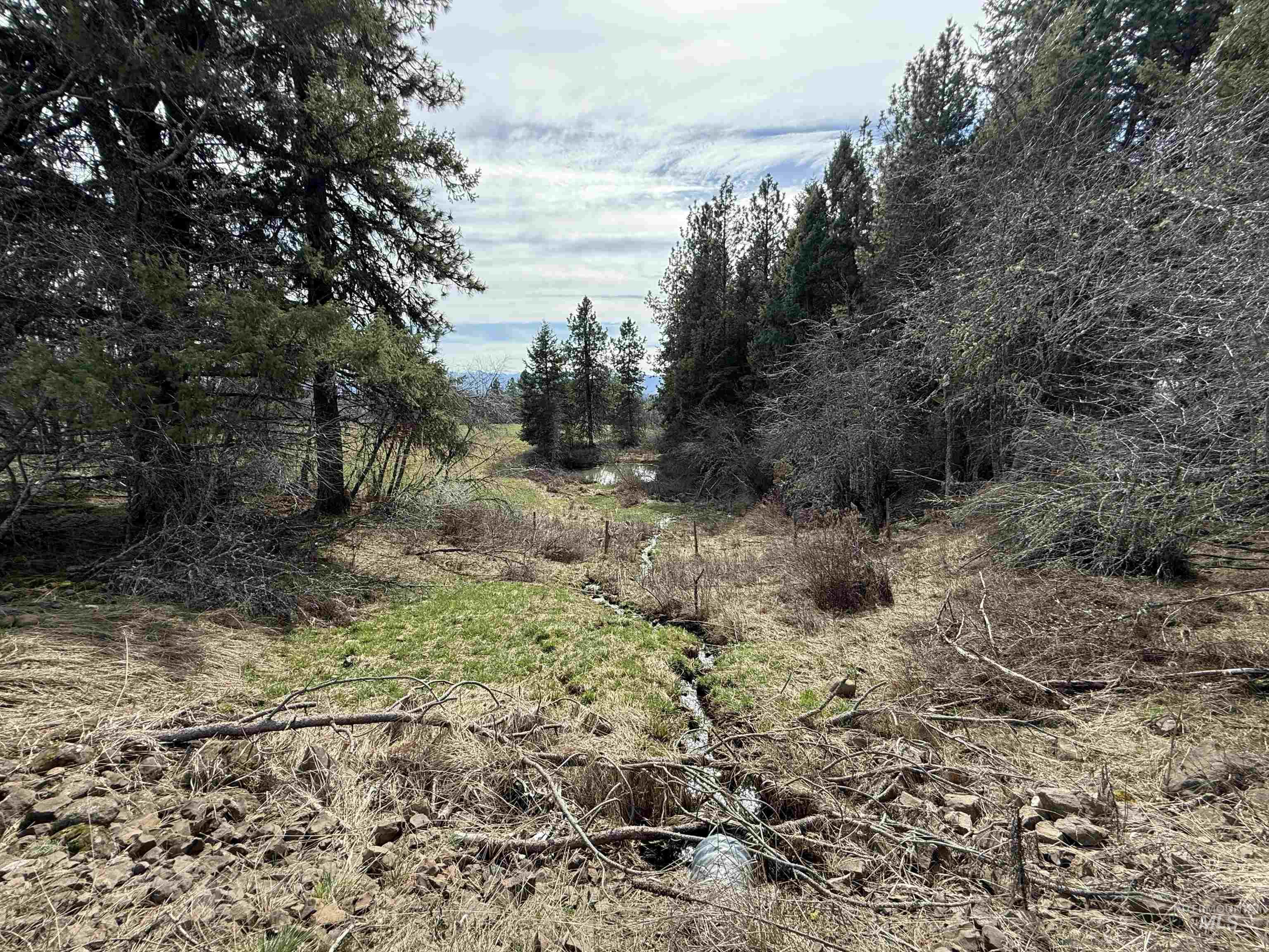 TBD Kidder Ridge Rd, Kamiah, Idaho 83536, Land For Sale, Price $248,996, 98979713