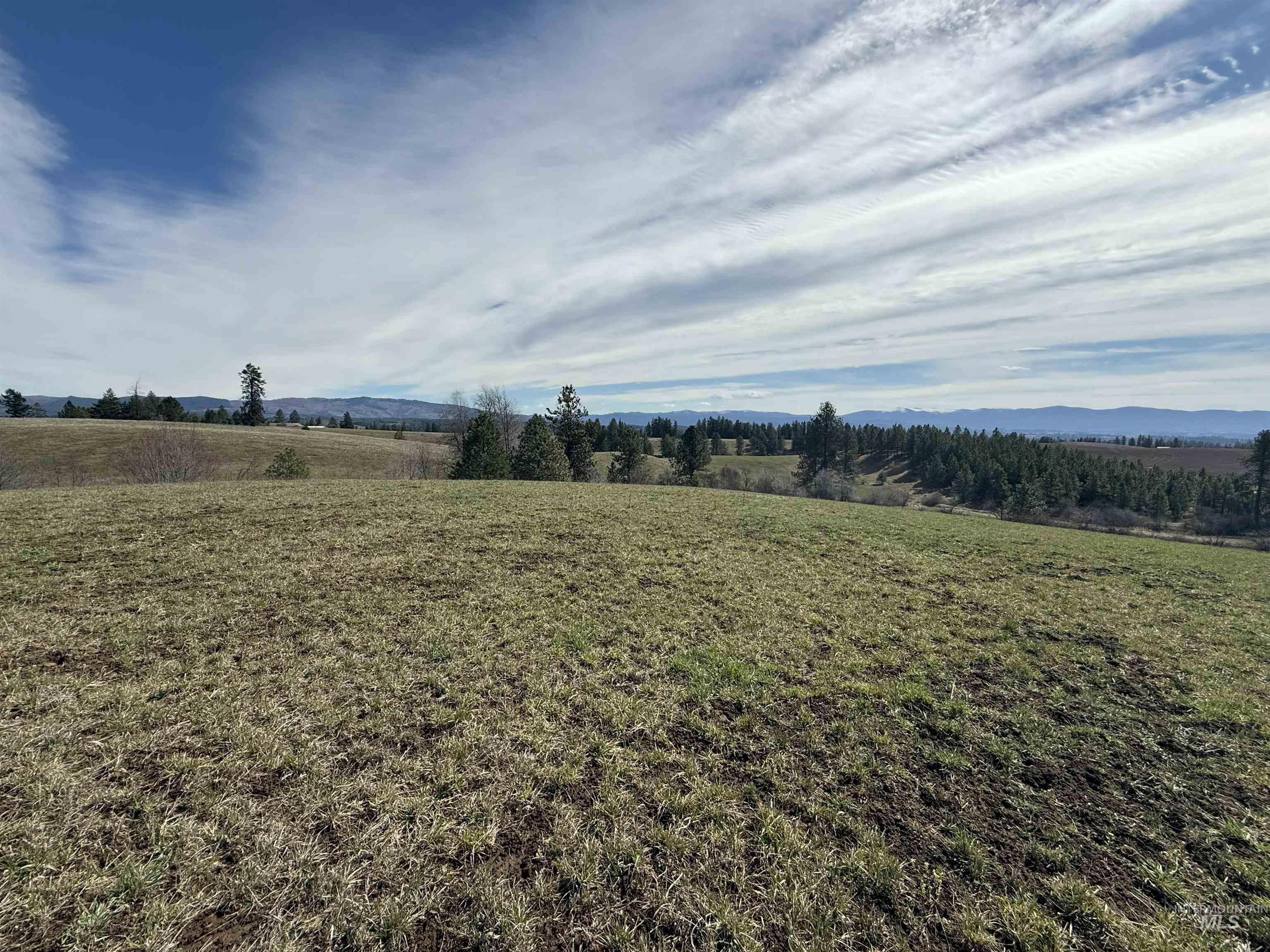 TBD Kidder Ridge Rd, Kamiah, Idaho 83536, Land For Sale, Price $248,996, 98979713