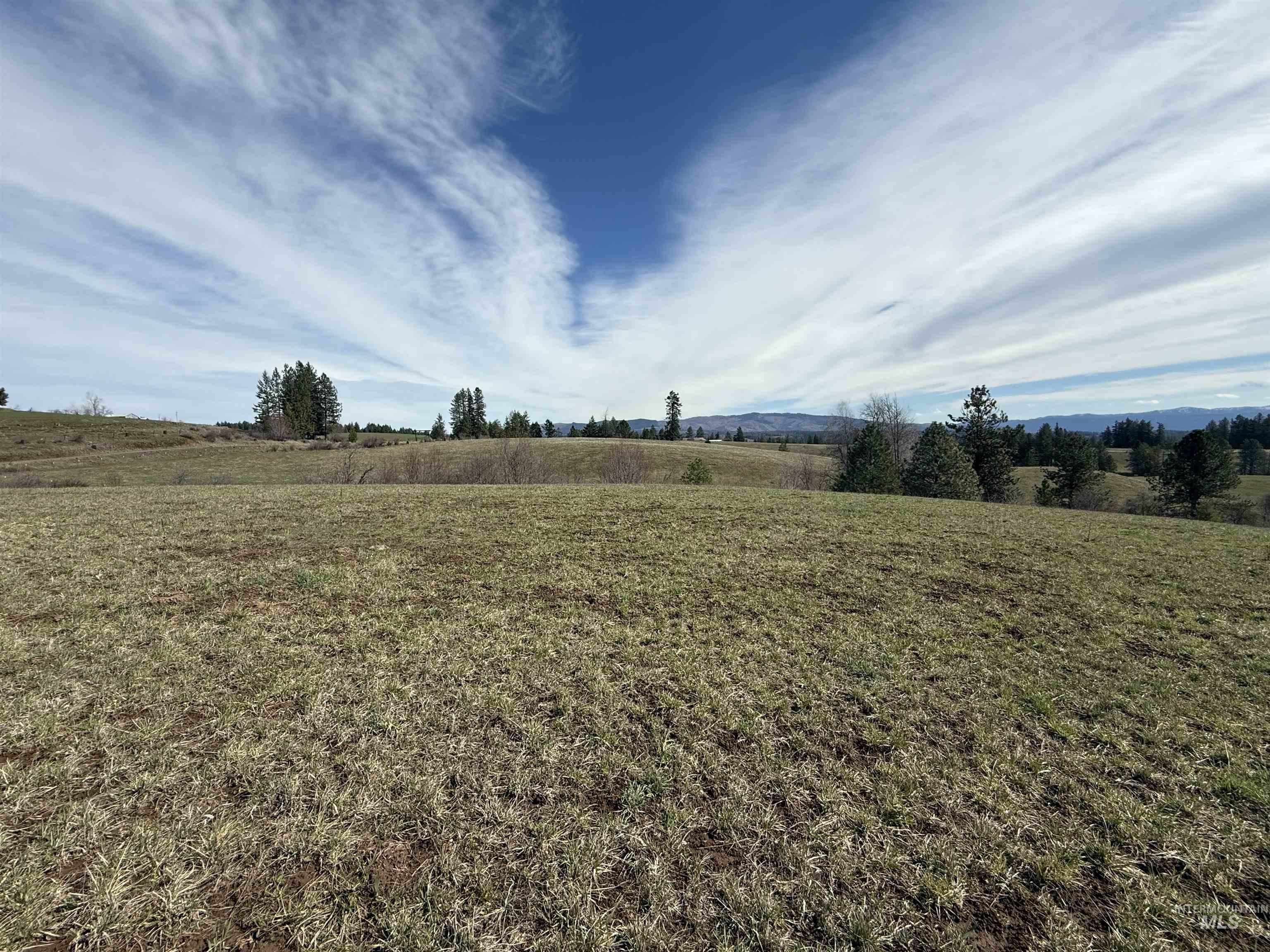 TBD Kidder Ridge Rd, Kamiah, Idaho 83536, Land For Sale, Price $248,996, 98979713