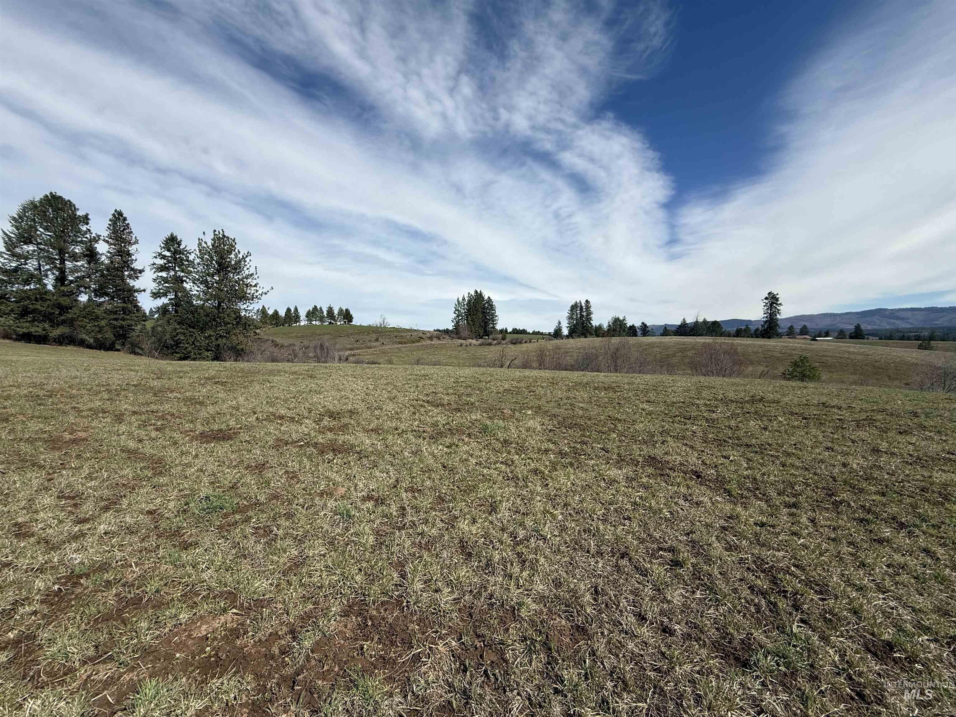 TBD Kidder Ridge Rd, Kamiah, Idaho 83536, Land For Sale, Price $248,996, 98979713