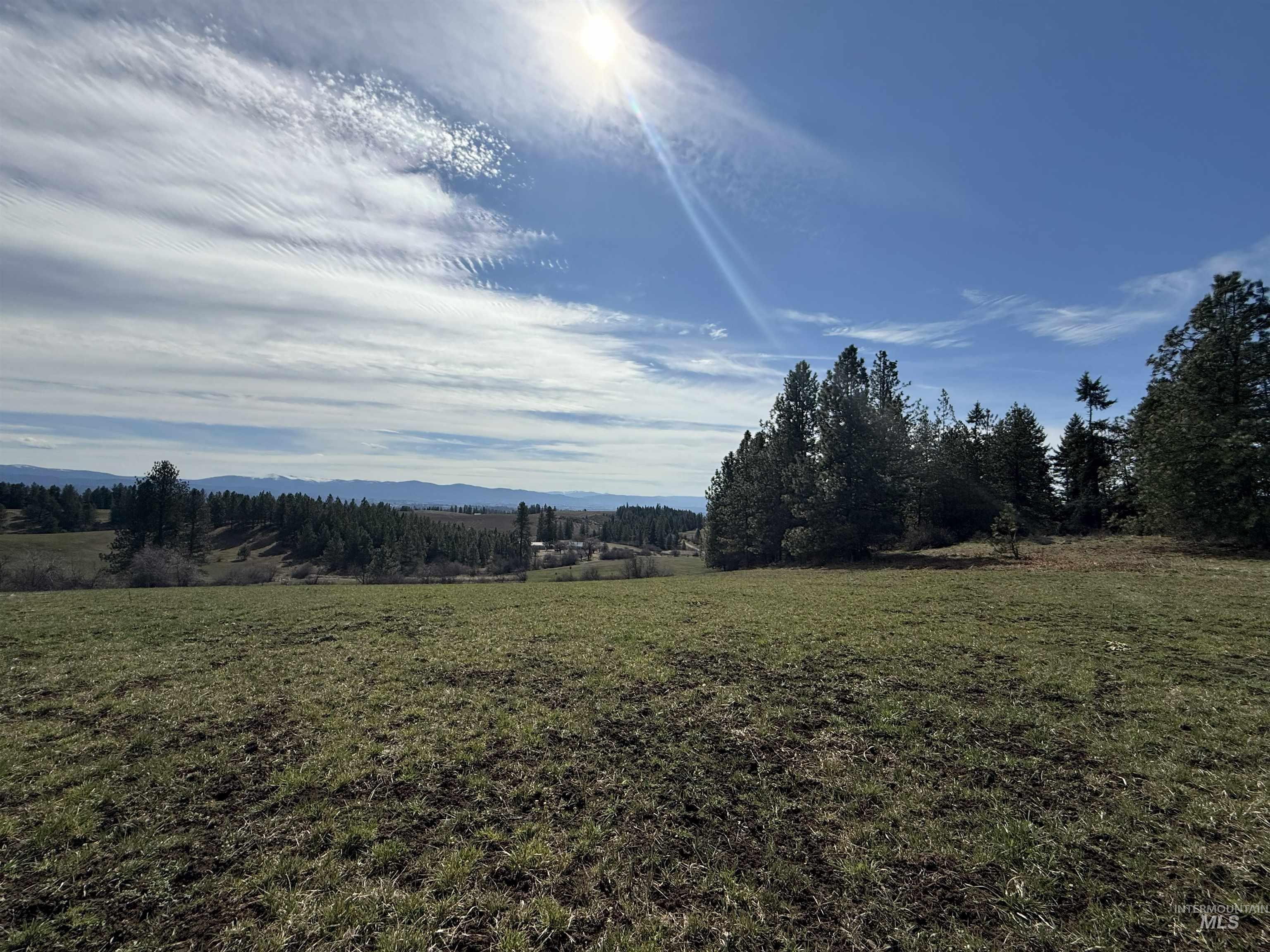 TBD Kidder Ridge Rd, Kamiah, Idaho 83536, Land For Sale, Price $248,996, 98979713