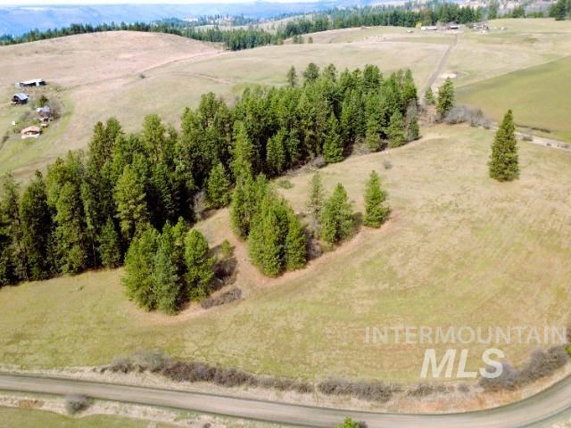 1188 Kidder Ridge, Kamiah, Idaho 83536, Land For Sale, Price $1,261,995,MLS 98979716