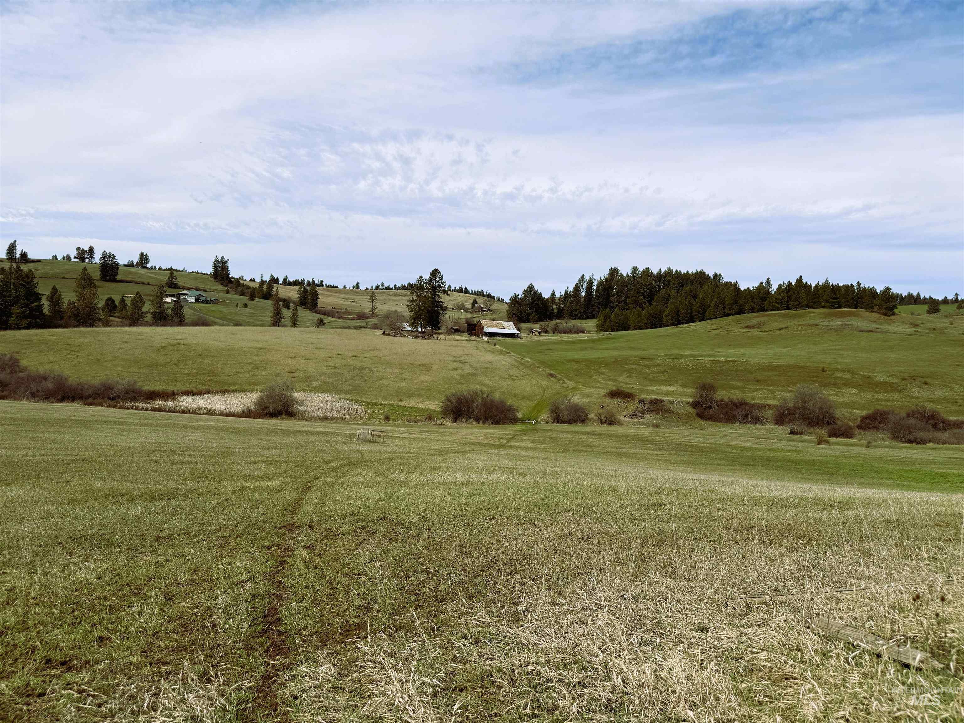1188 Kidder Ridge, Kamiah, Idaho 83536, Land For Sale, Price $1,261,995,MLS 98979716