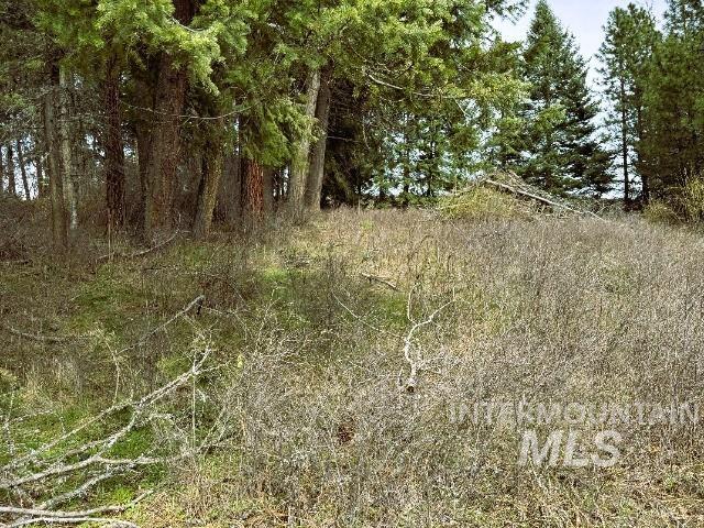 1188 Kidder Ridge, Kamiah, Idaho 83536, Land For Sale, Price $1,261,995,MLS 98979716