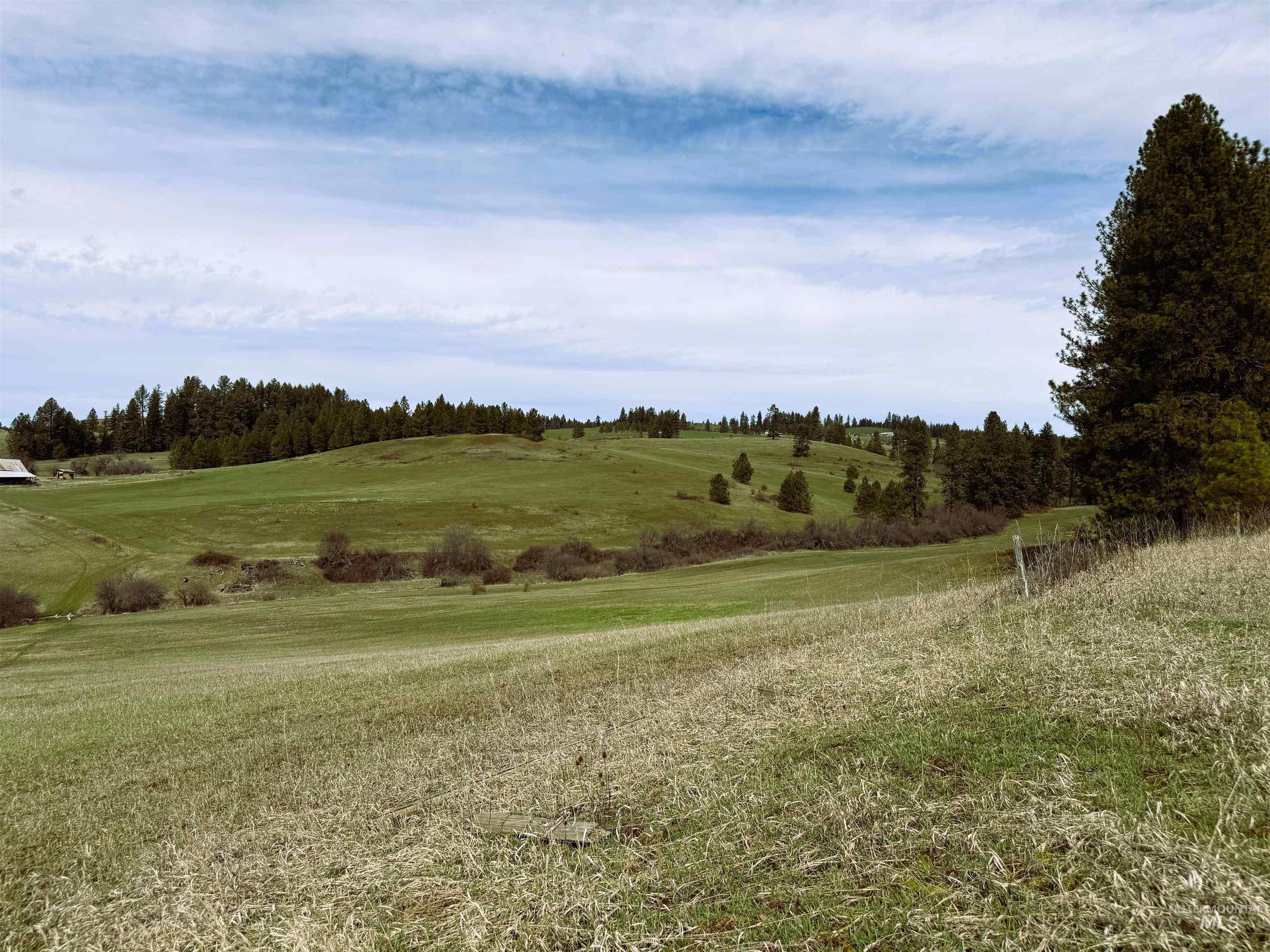 1188 Kidder Ridge, Kamiah, Idaho 83536, Land For Sale, Price $1,261,995,MLS 98979716