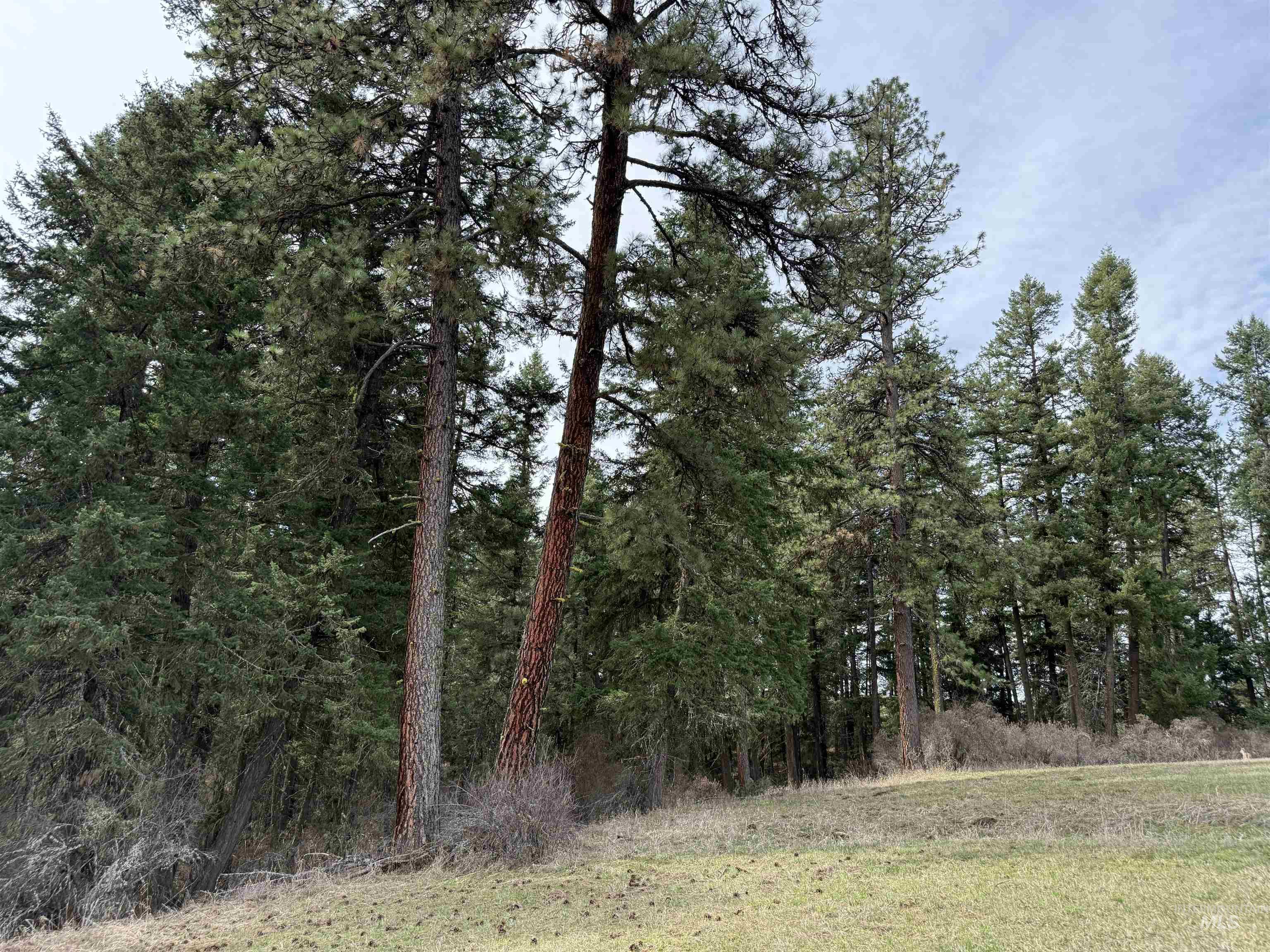 1188 Kidder Ridge, Kamiah, Idaho 83536, Land For Sale, Price $1,261,995,MLS 98979716