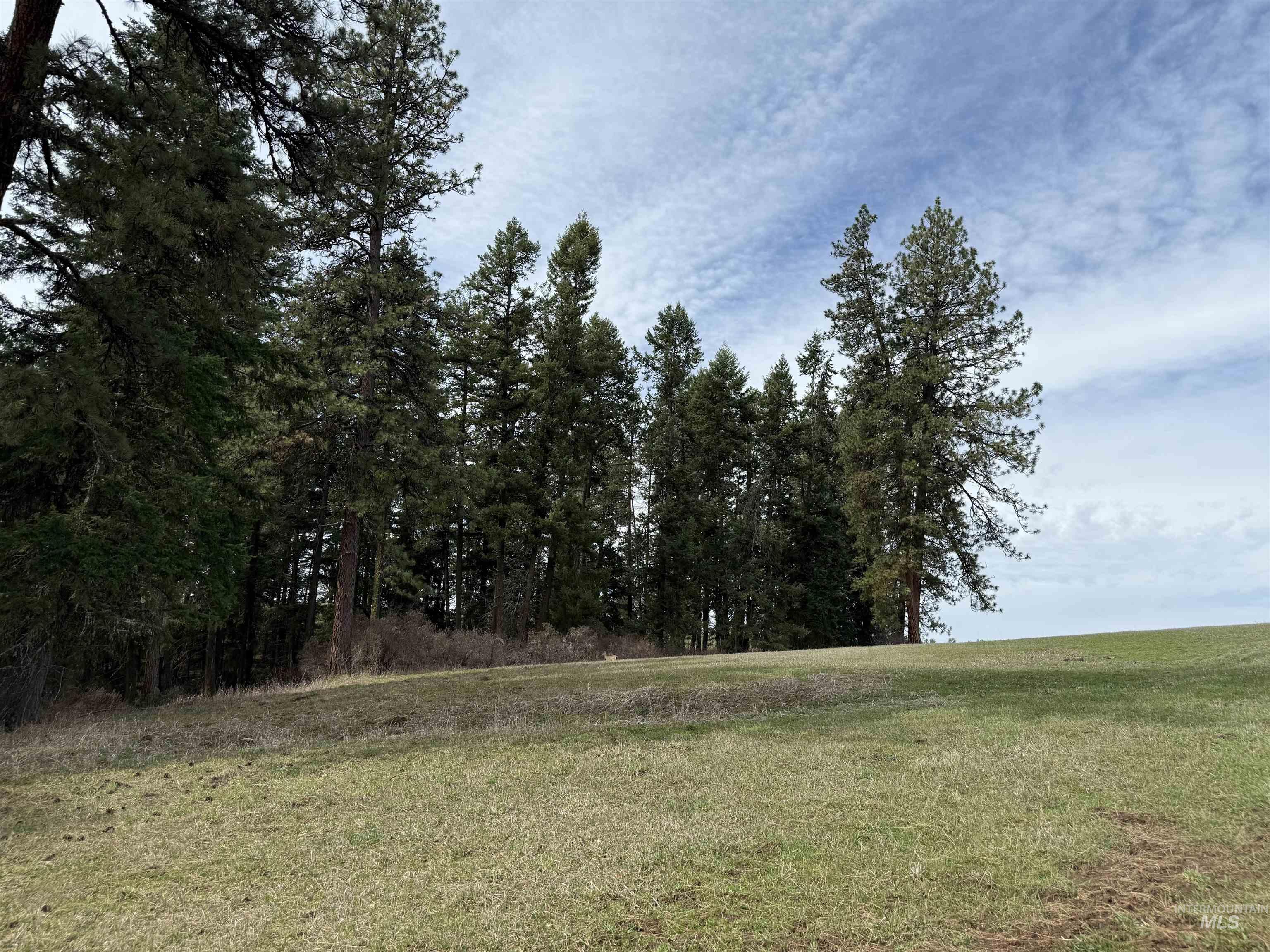 1188 Kidder Ridge, Kamiah, Idaho 83536, Land For Sale, Price $1,261,995,MLS 98979716